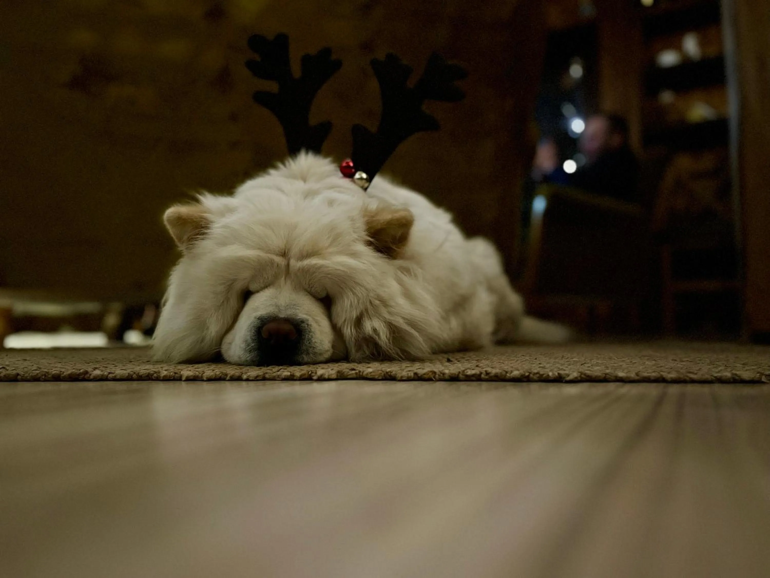 Decorative detail in Marina Zakopane