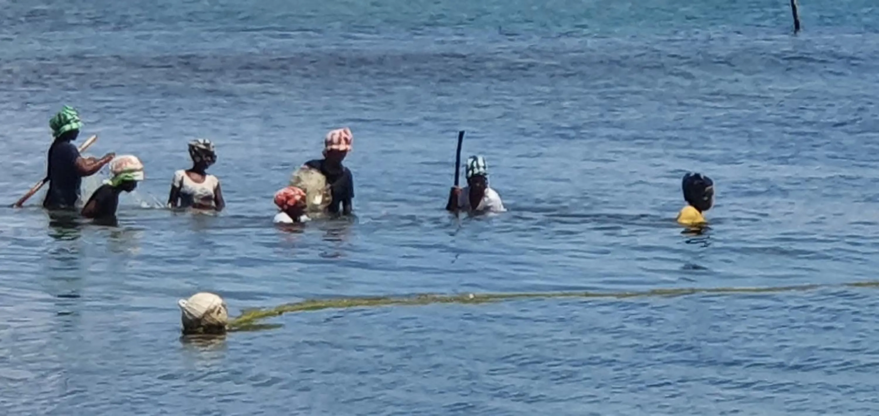 Photo of the whole room in Hotel ECOLODGE LE RAVORAHA