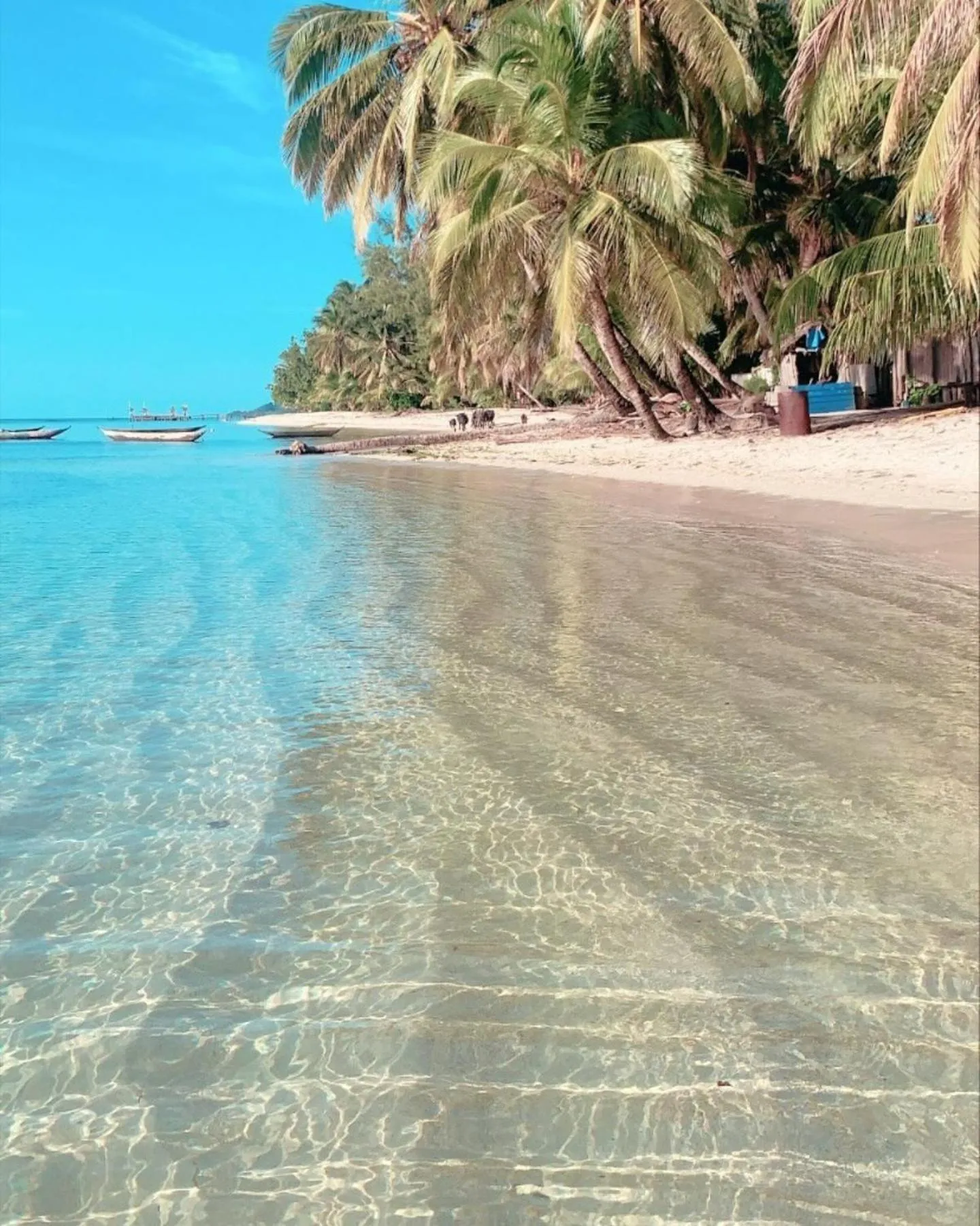 Natural landscape in Hotel ECOLODGE LE RAVORAHA
