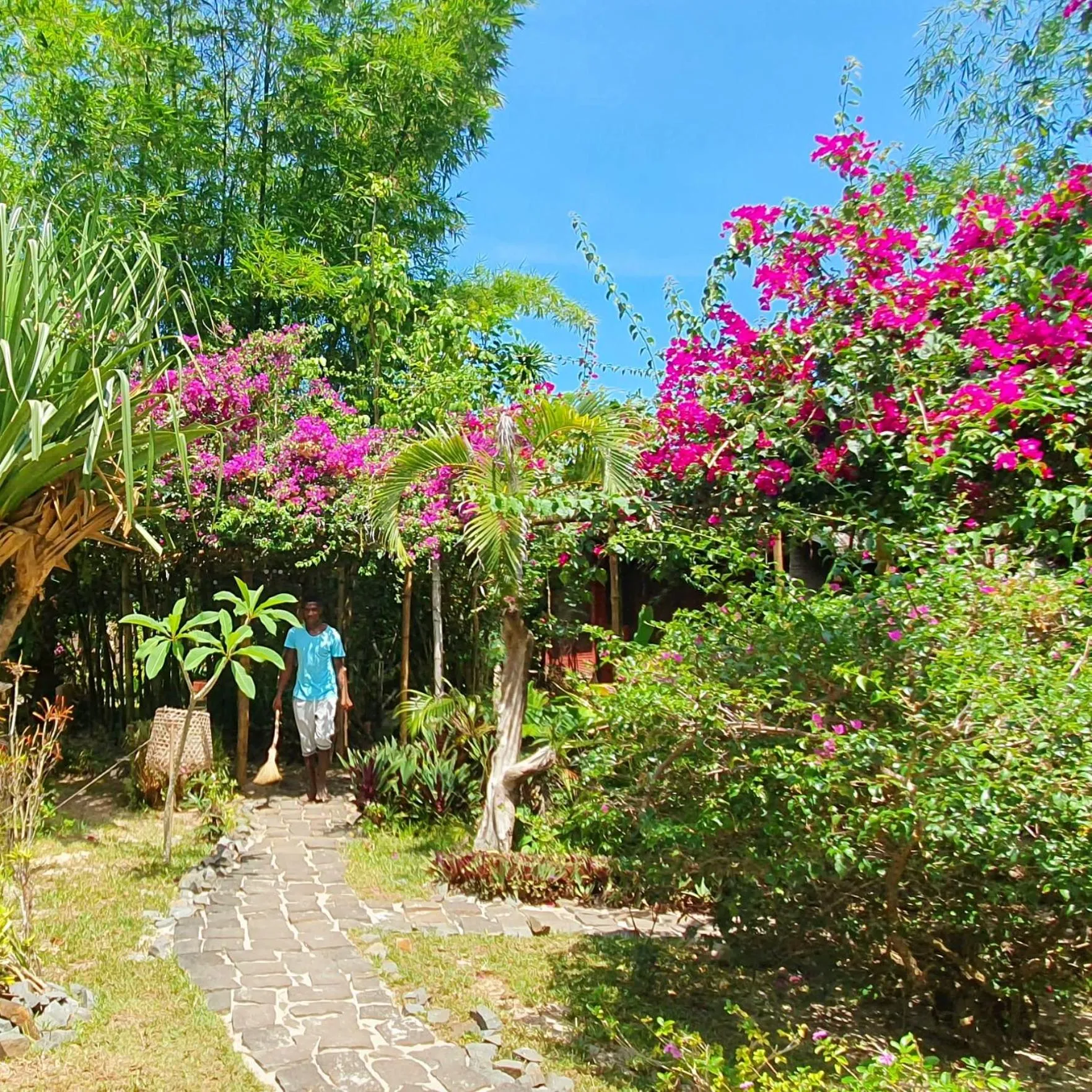 Garden in Hotel ECOLODGE LE RAVORAHA