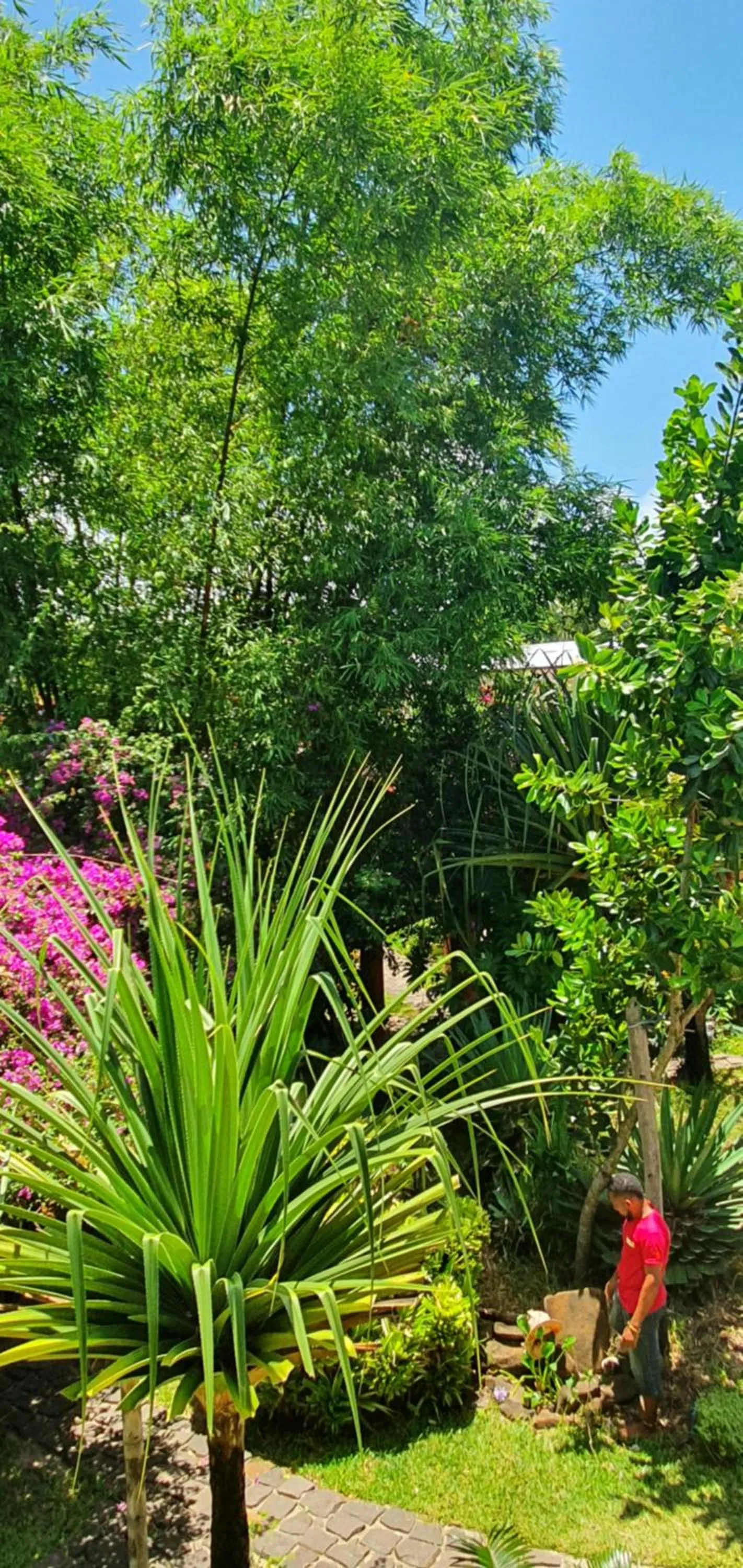 Natural landscape in Hotel ECOLODGE LE RAVORAHA