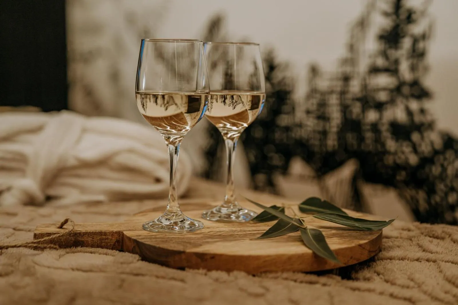 Photo of the whole room in Willa Regina I Resort & SPA