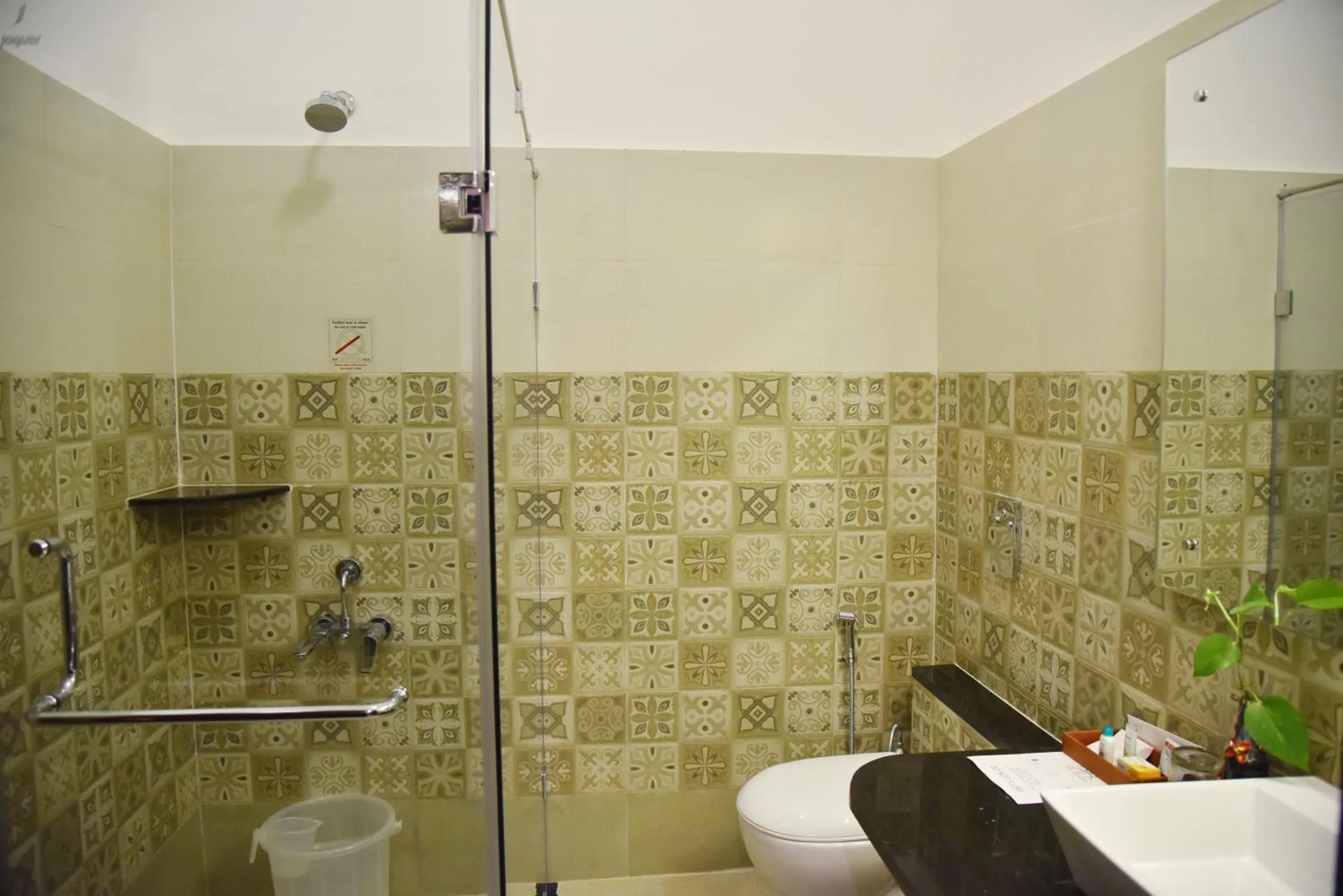 Shower in Hotel Coorg International