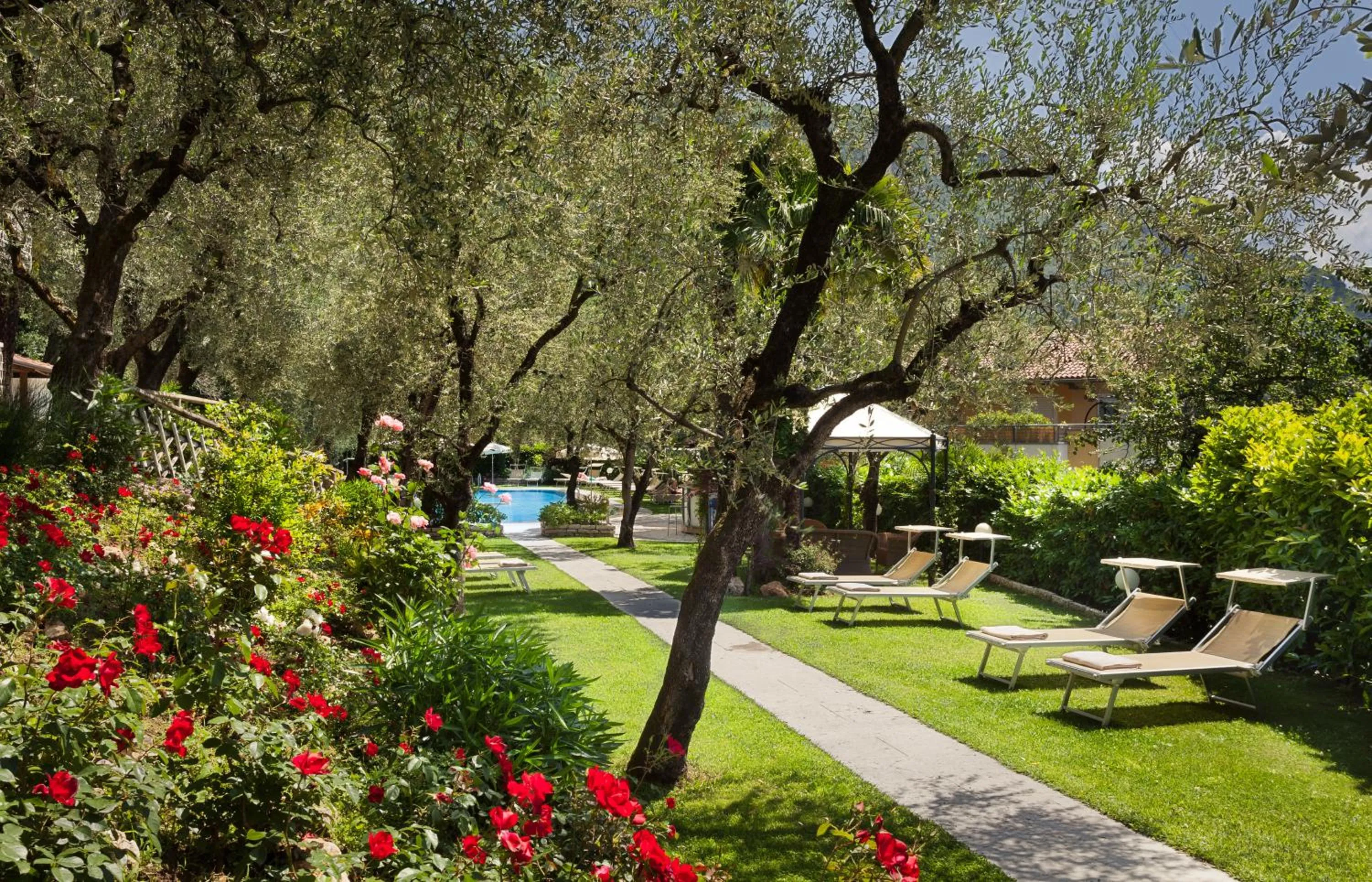 Swimming pool in Hotel Continental - Tonelli Hotels