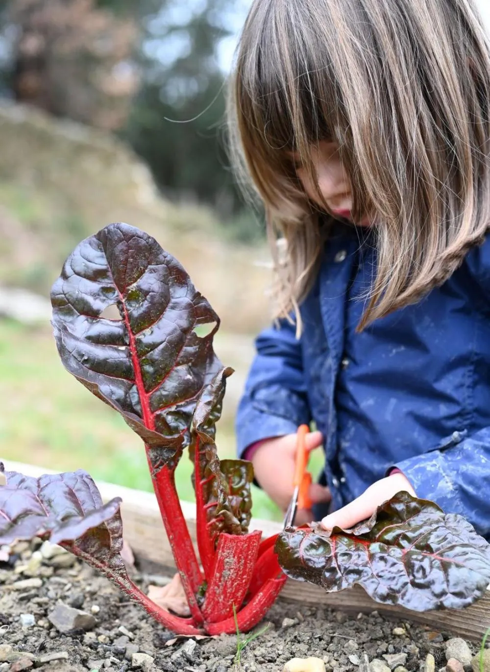Activities in Fattoria di Maiano