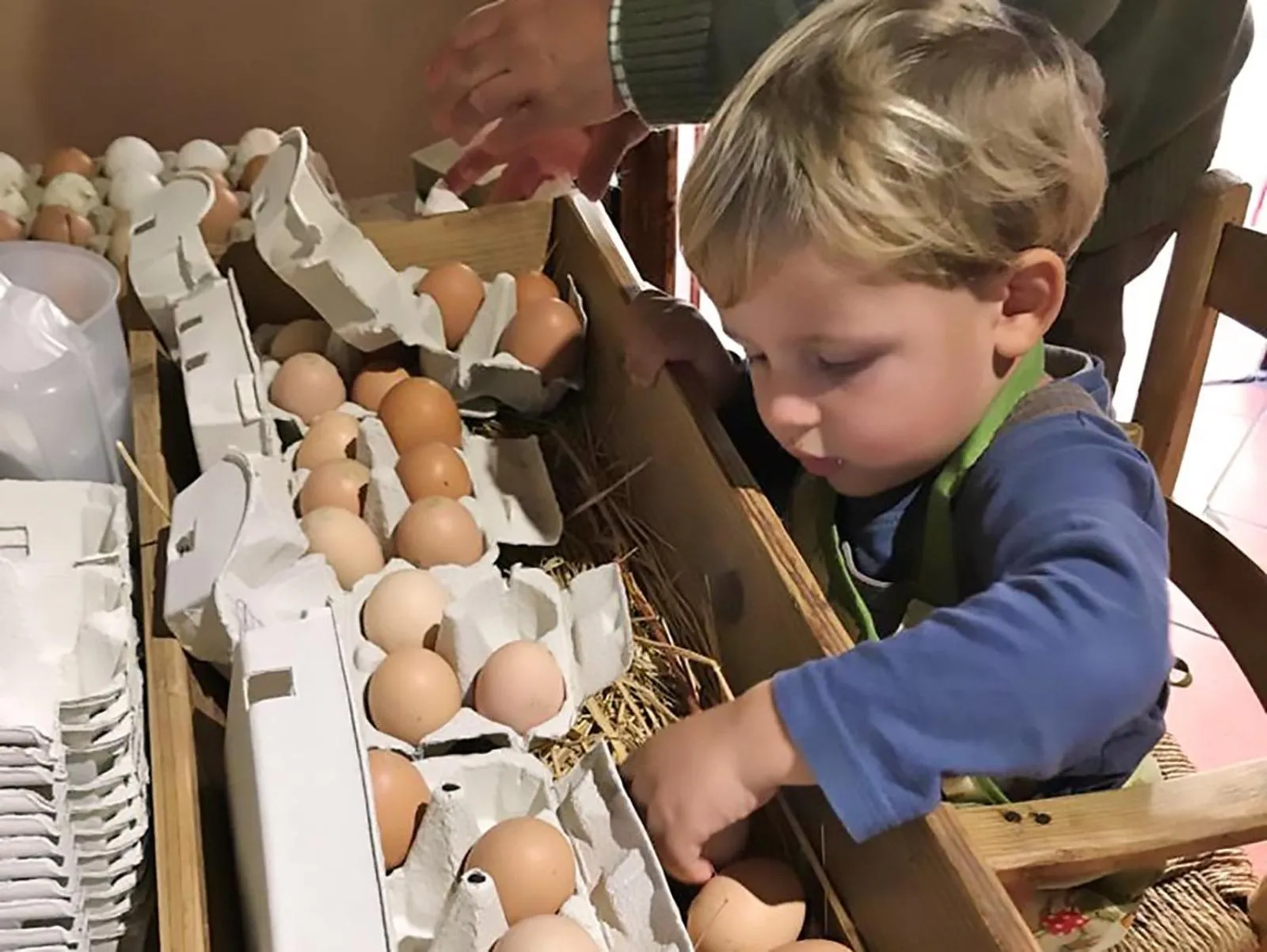 Entertainment in Fattoria di Maiano