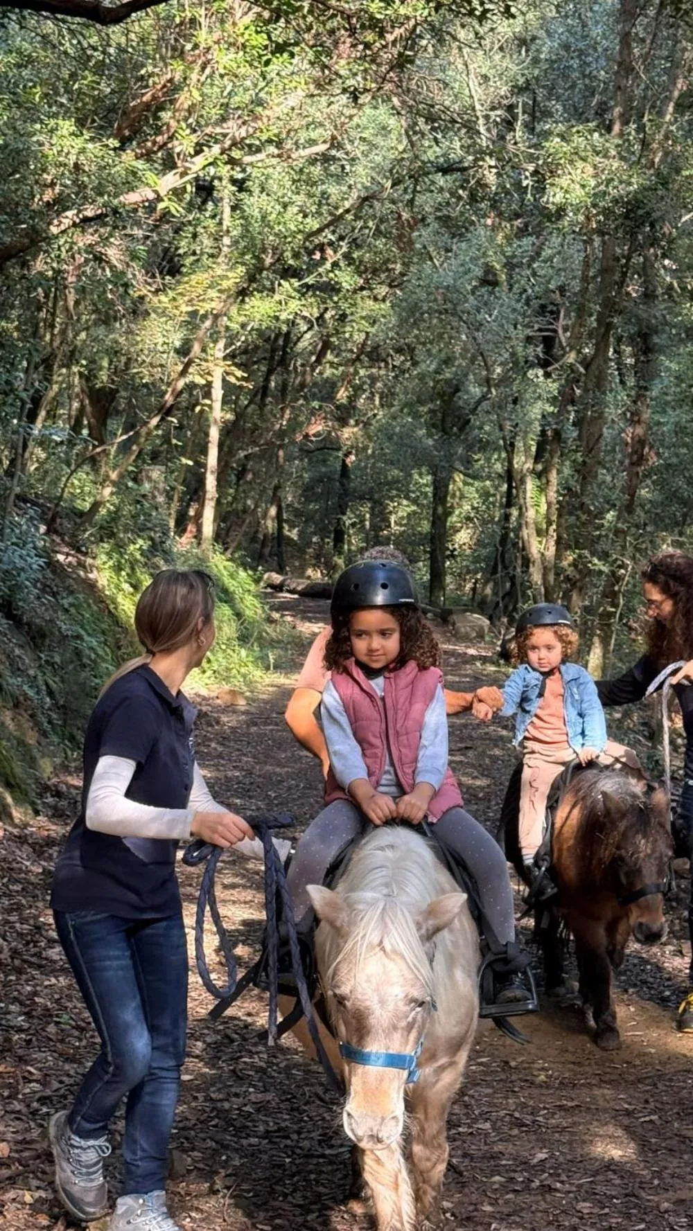 Activities in Fattoria di Maiano