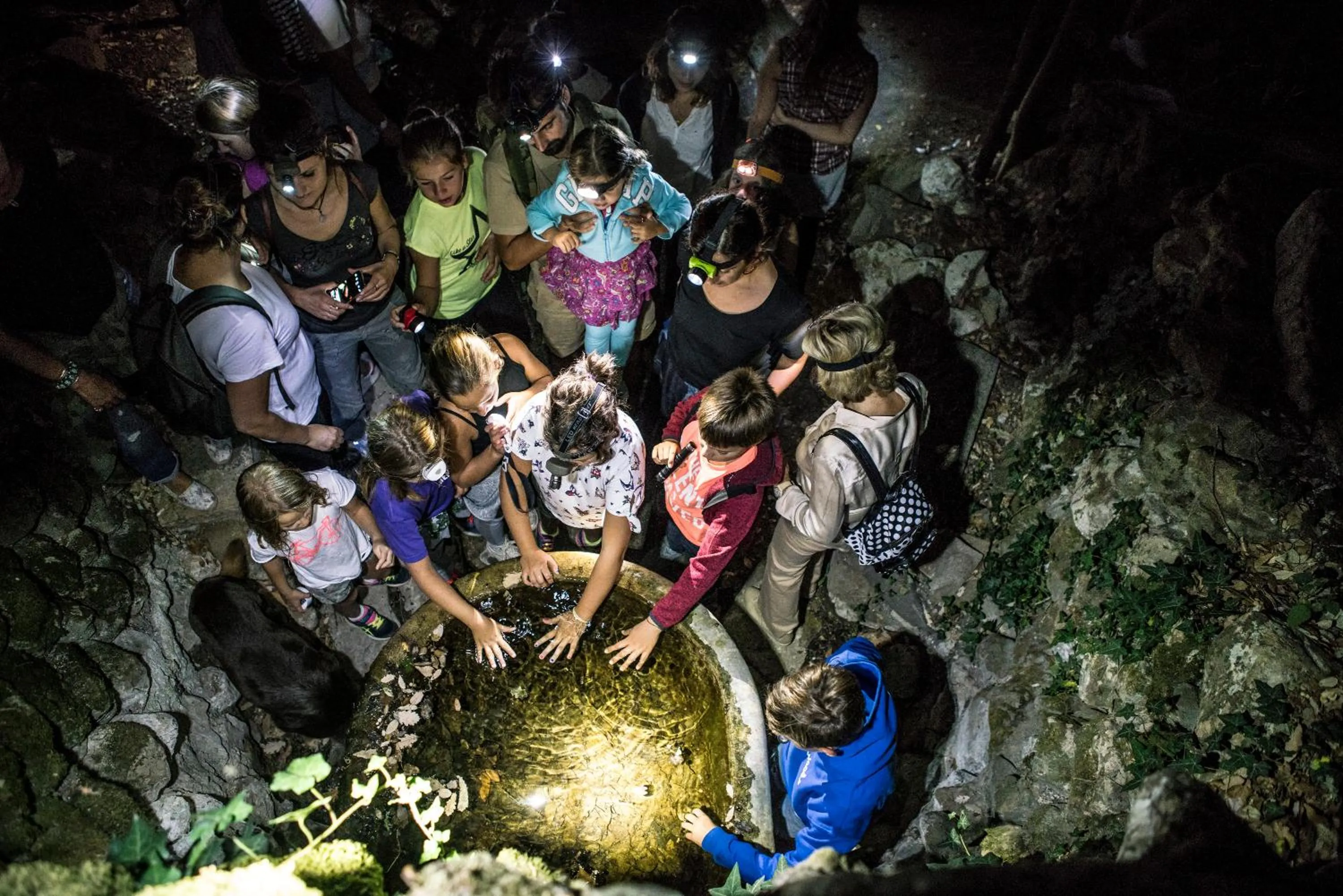 Activities in Fattoria di Maiano