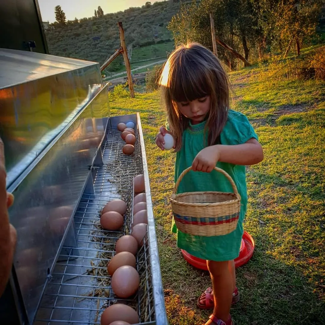 Entertainment in Fattoria di Maiano