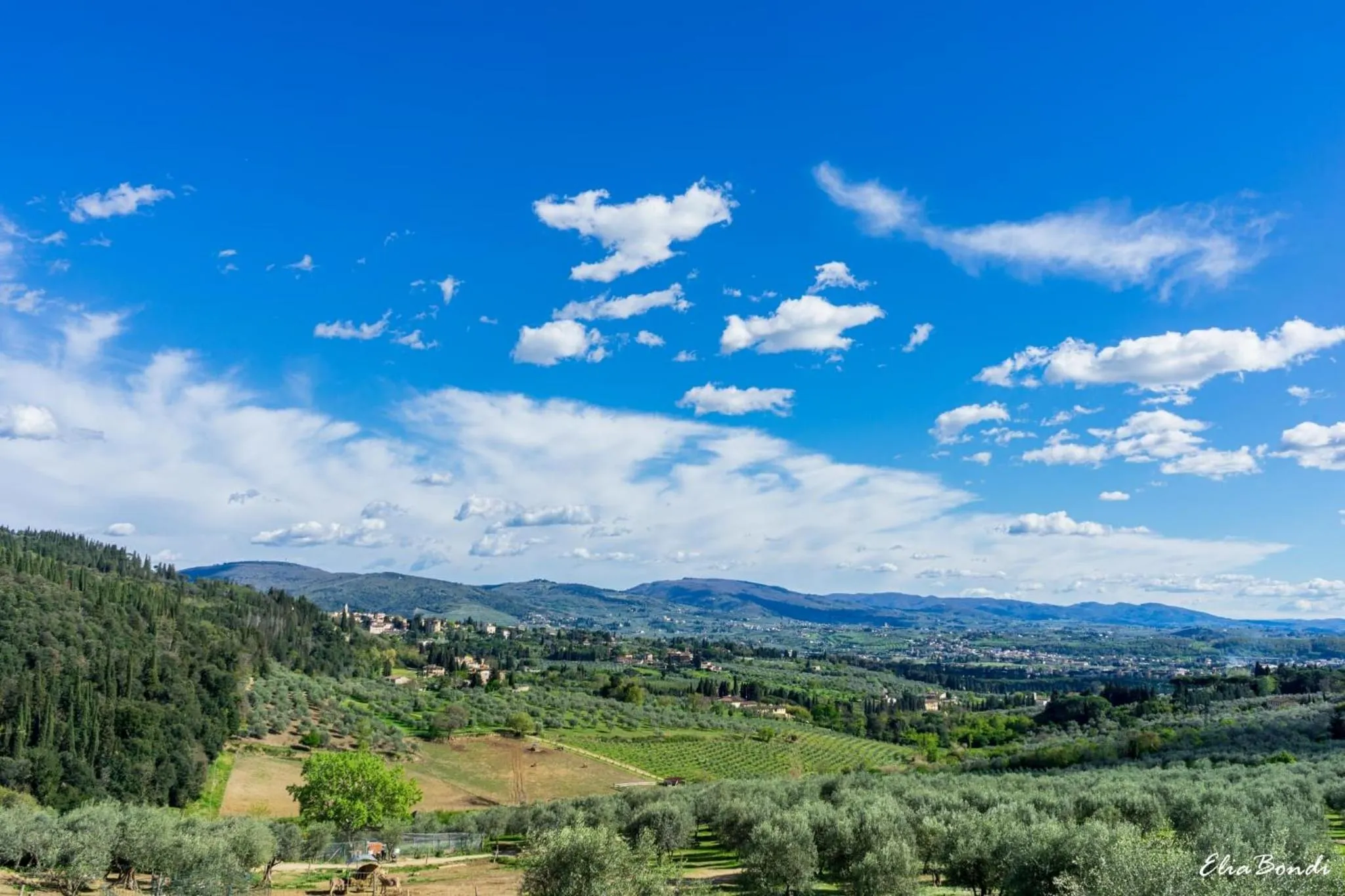 View (from property/room) in Fattoria di Maiano