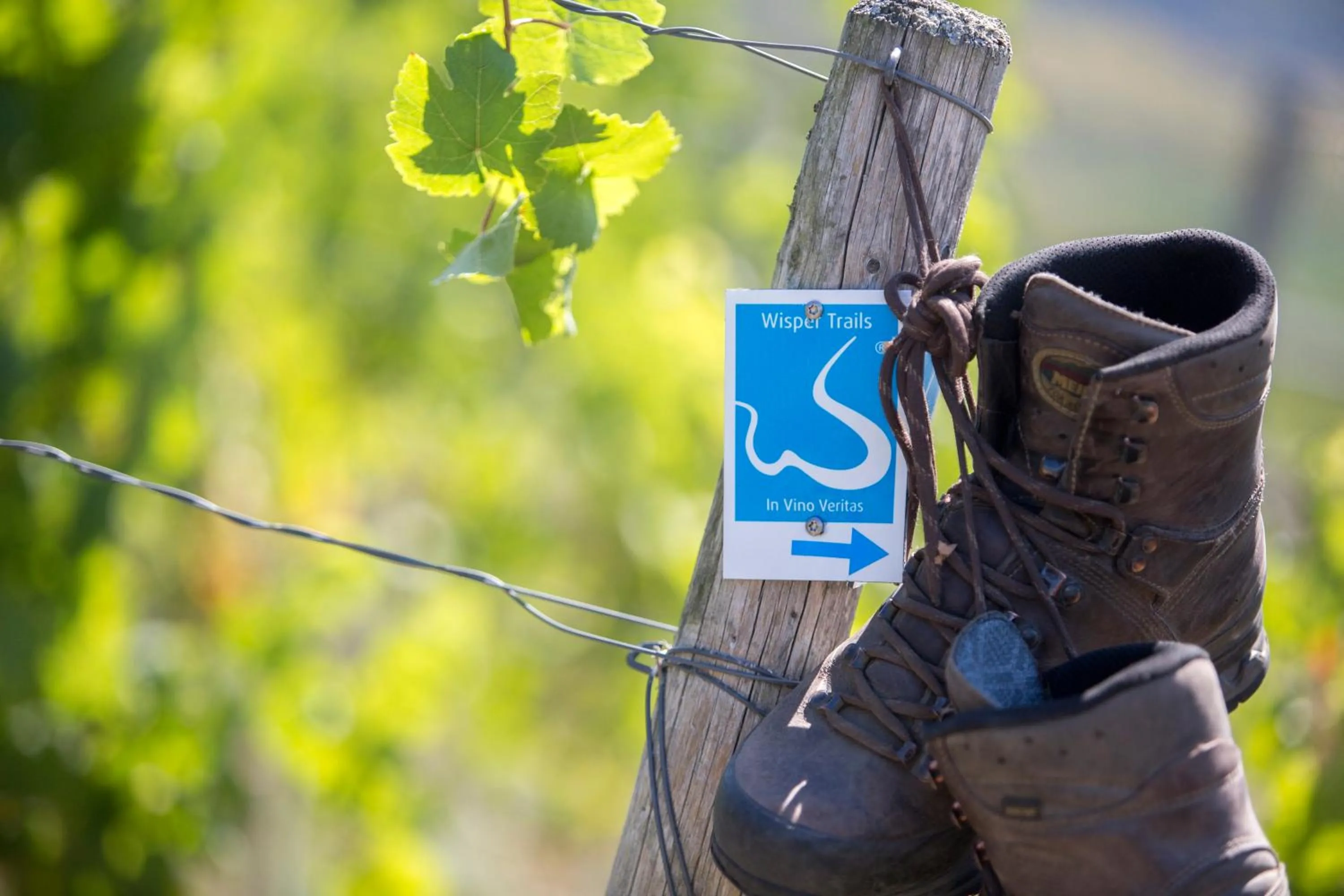 Hiking in Hotel Im Schulhaus