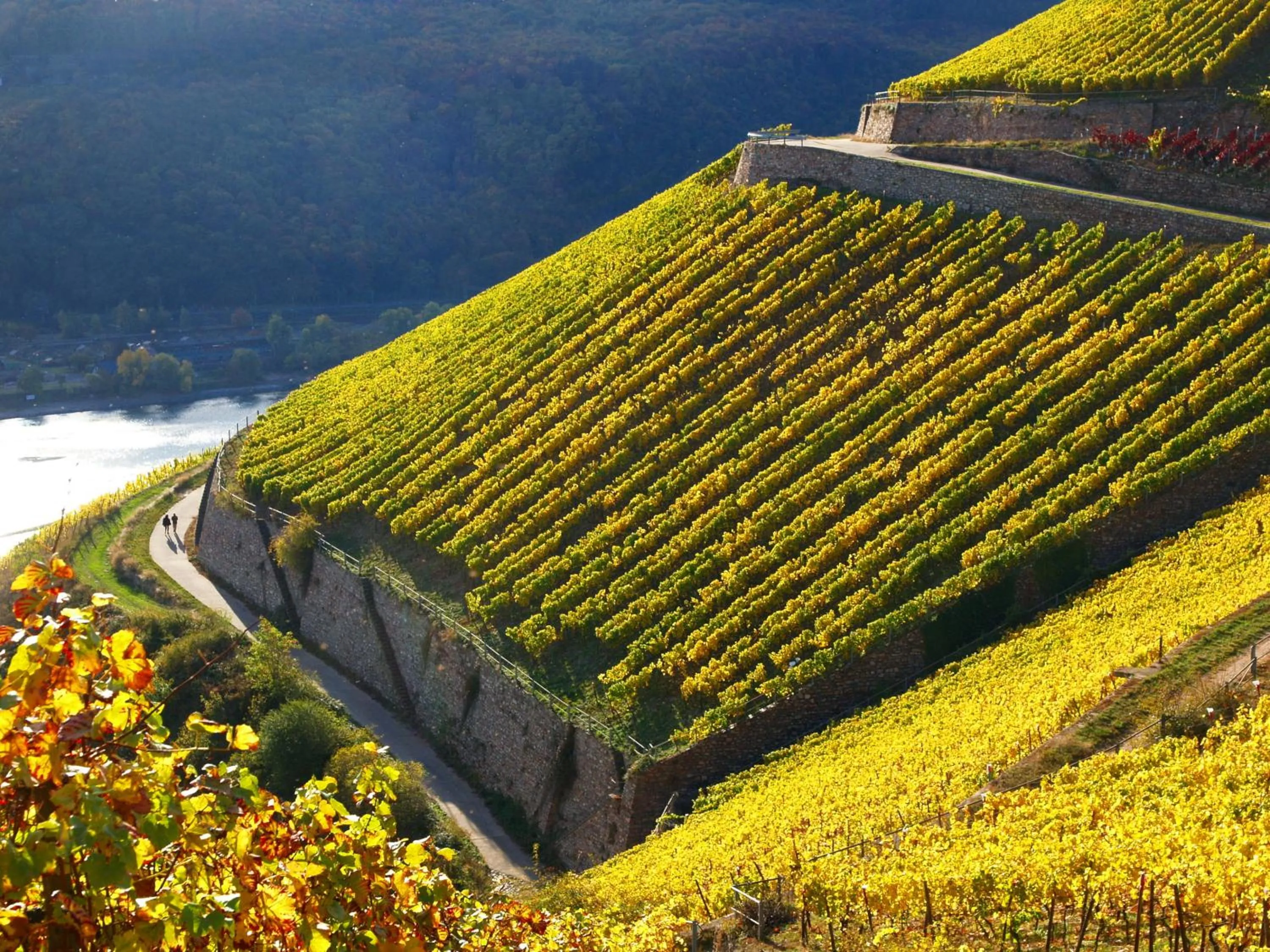 Day in Hotel Im Schulhaus