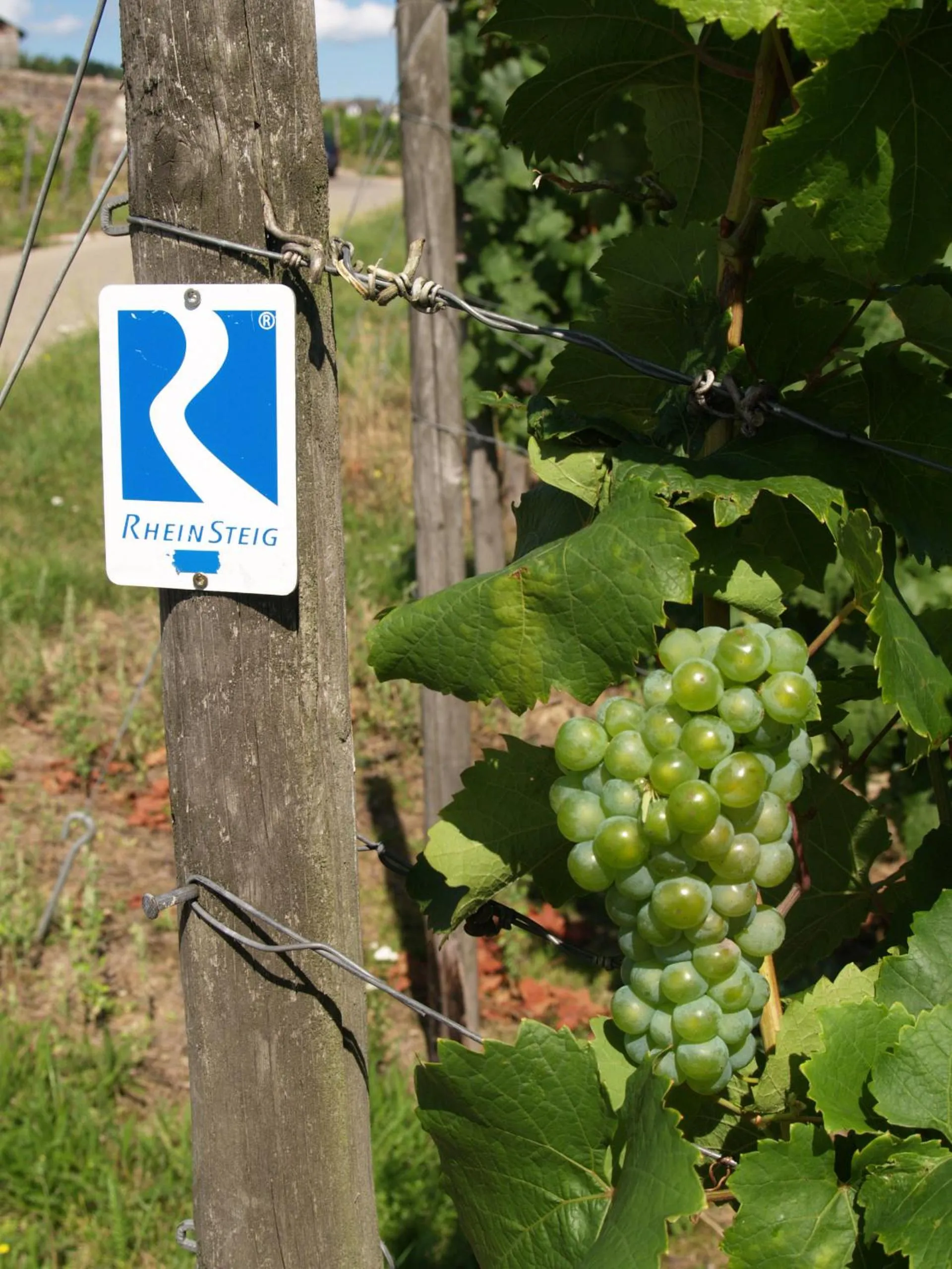 Day in Hotel Im Schulhaus