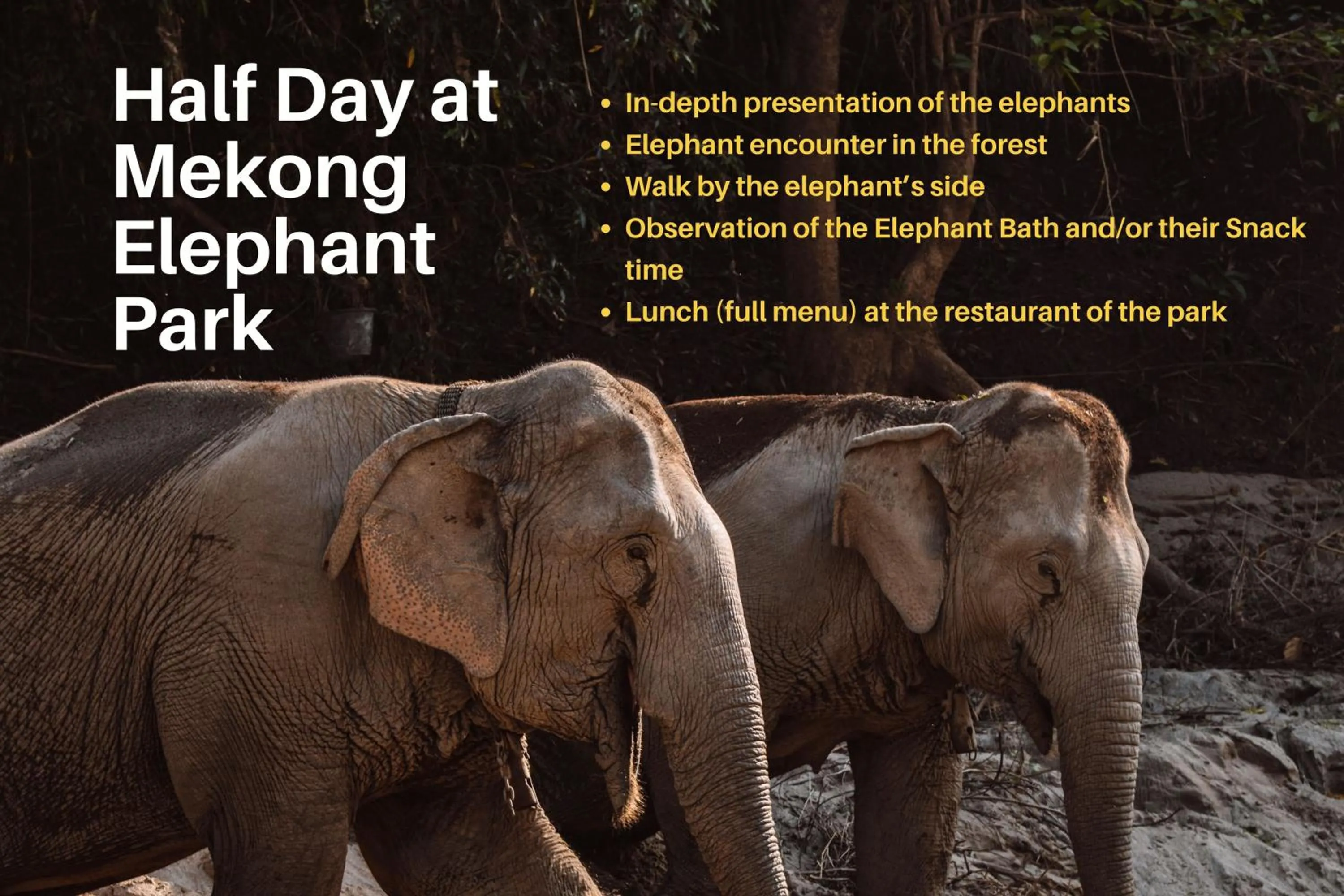 Animals in The Sanctuary Pakbeng Lodge