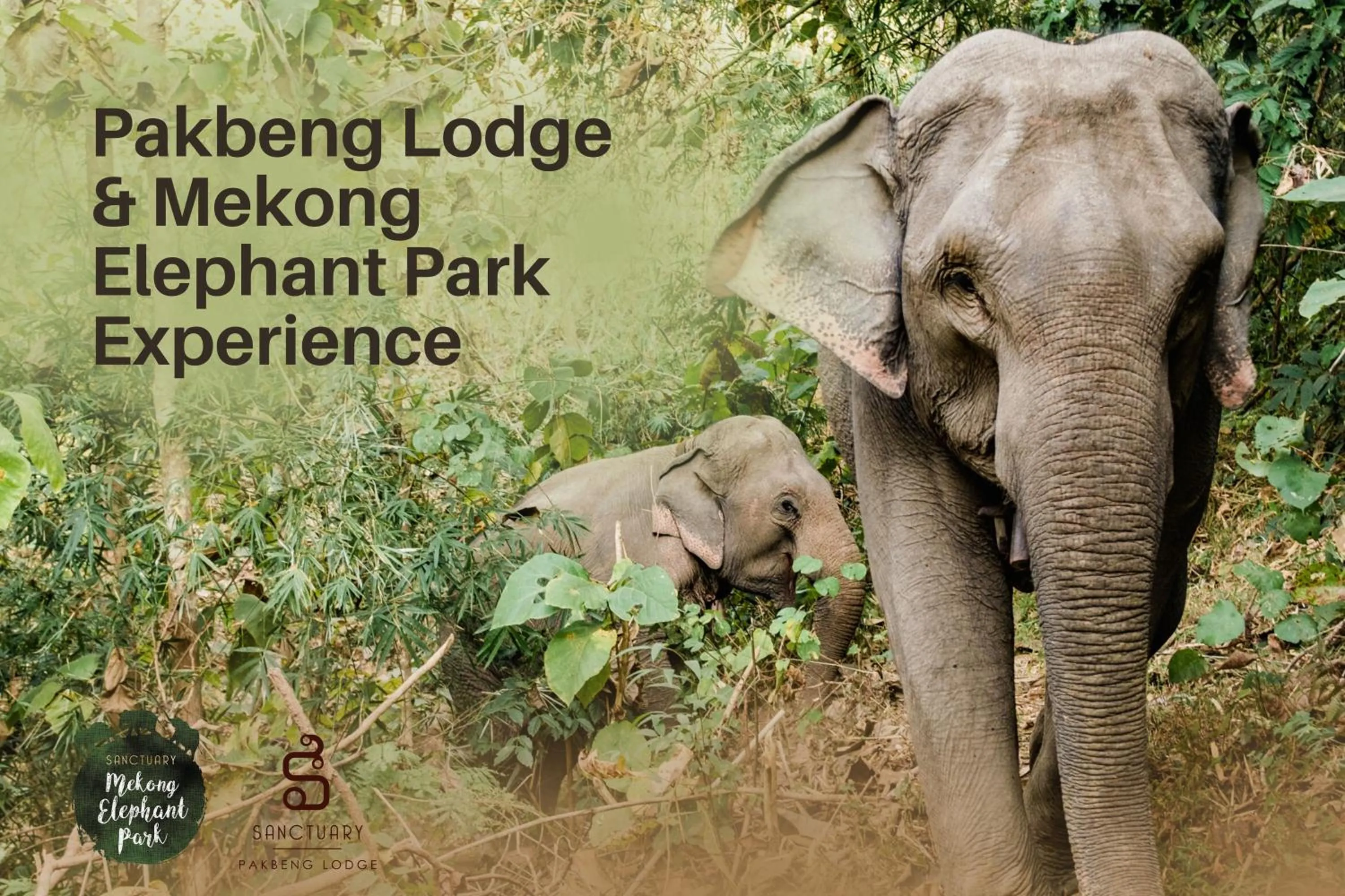 Activities in The Sanctuary Pakbeng Lodge