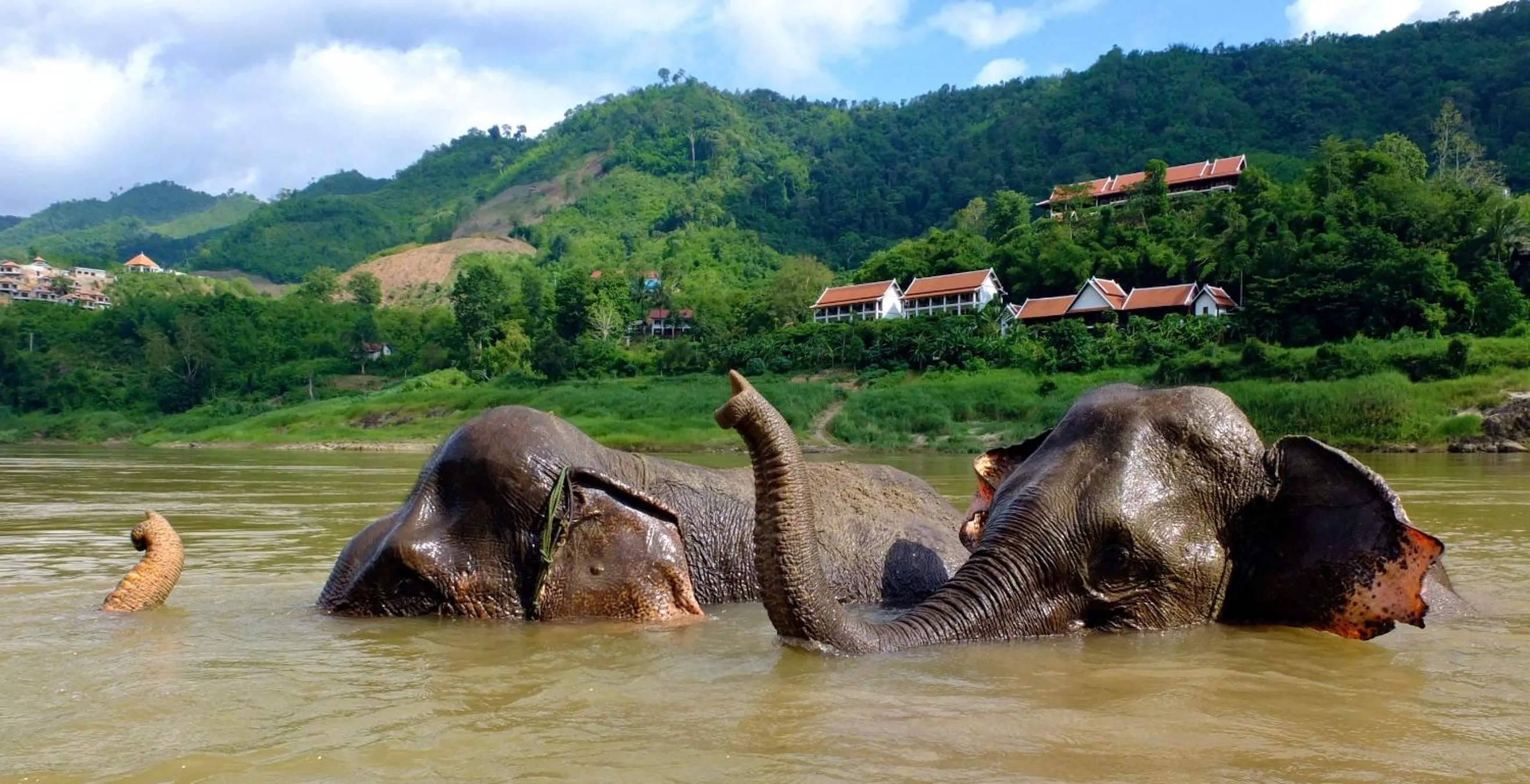View (from property/room) in The Sanctuary Pakbeng Lodge
