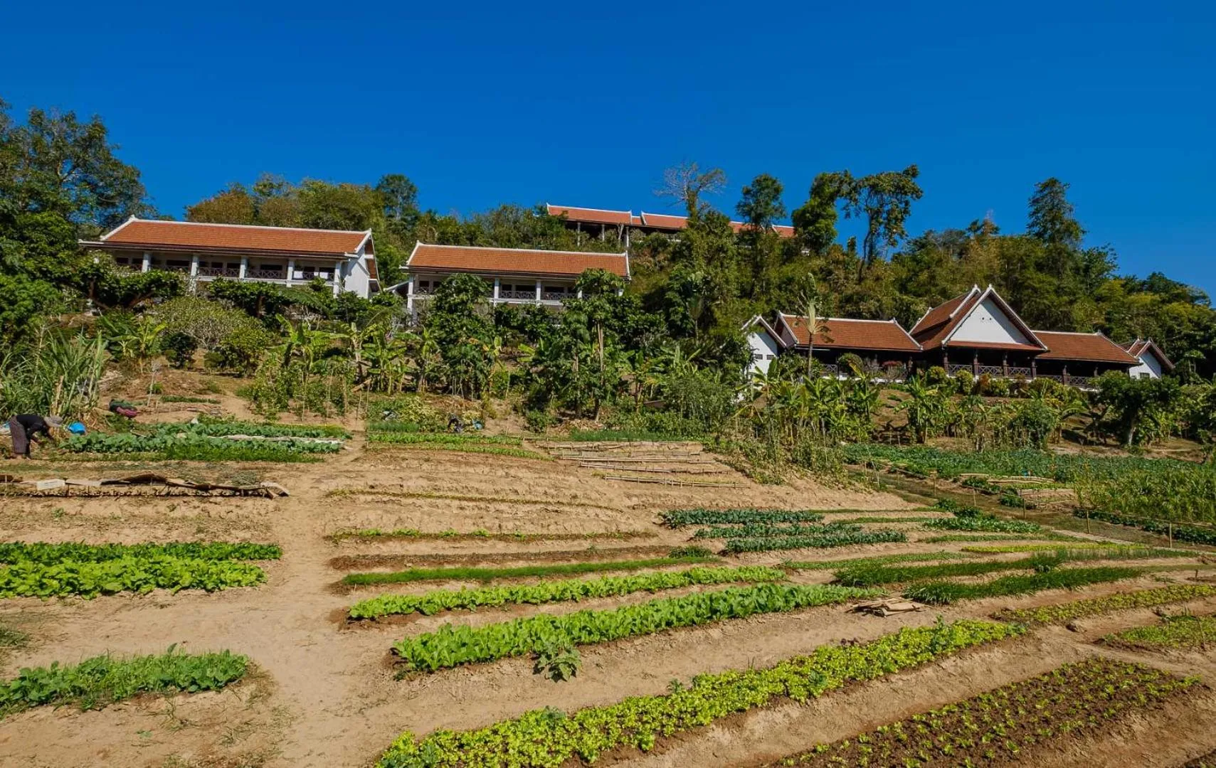 Property building in The Sanctuary Pakbeng Lodge
