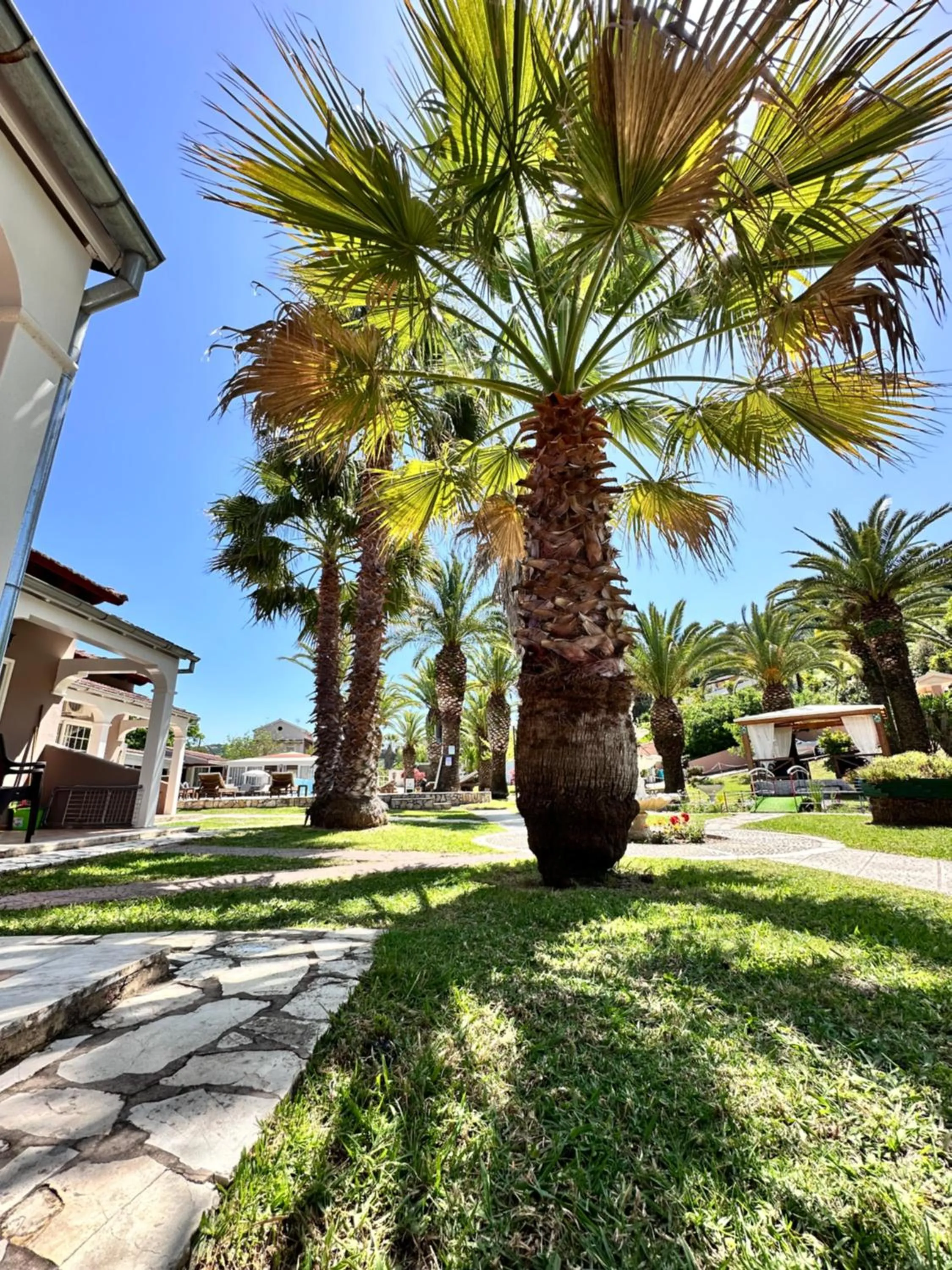 Garden in ABC Sweet Home