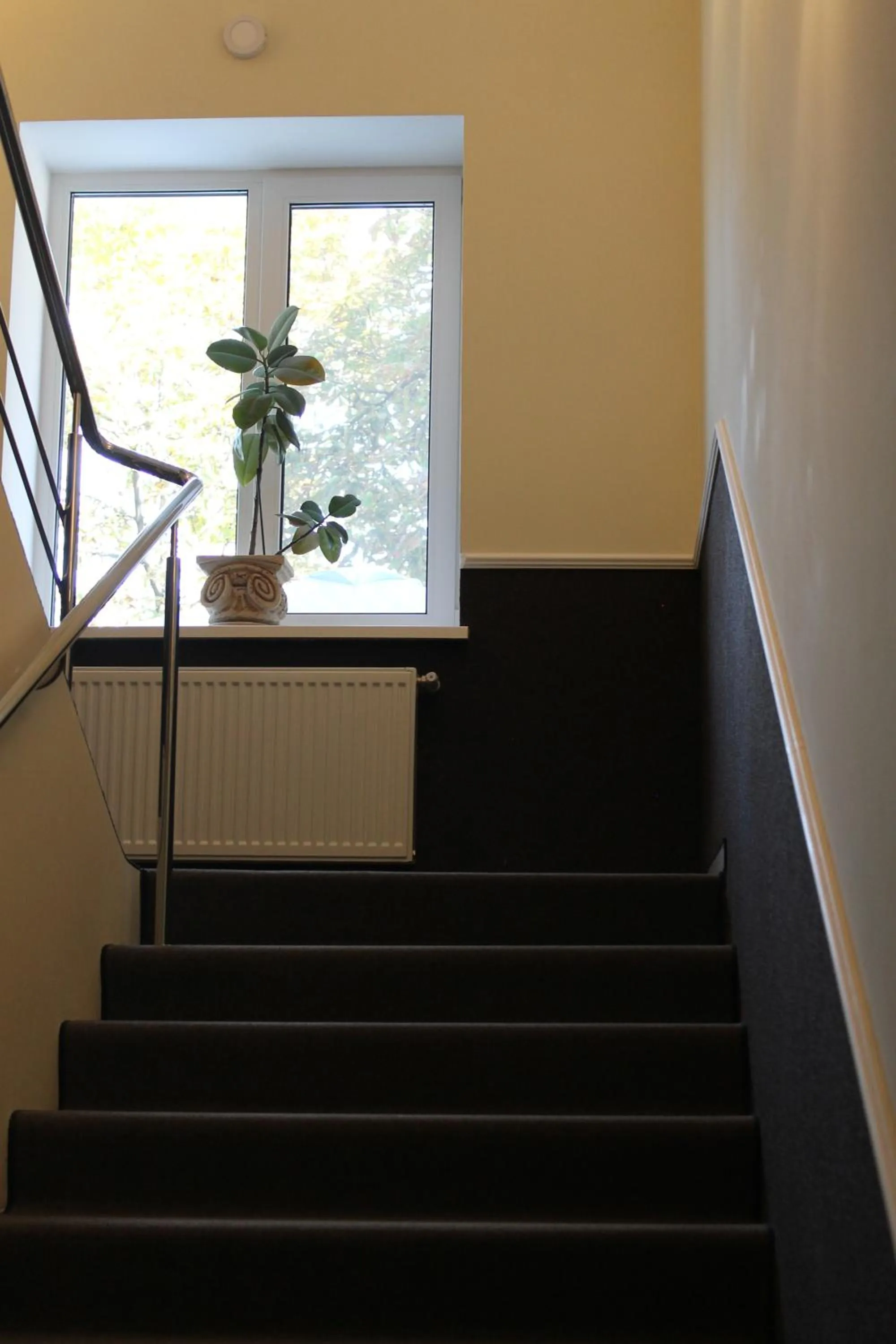 Other in Non-stop hotel