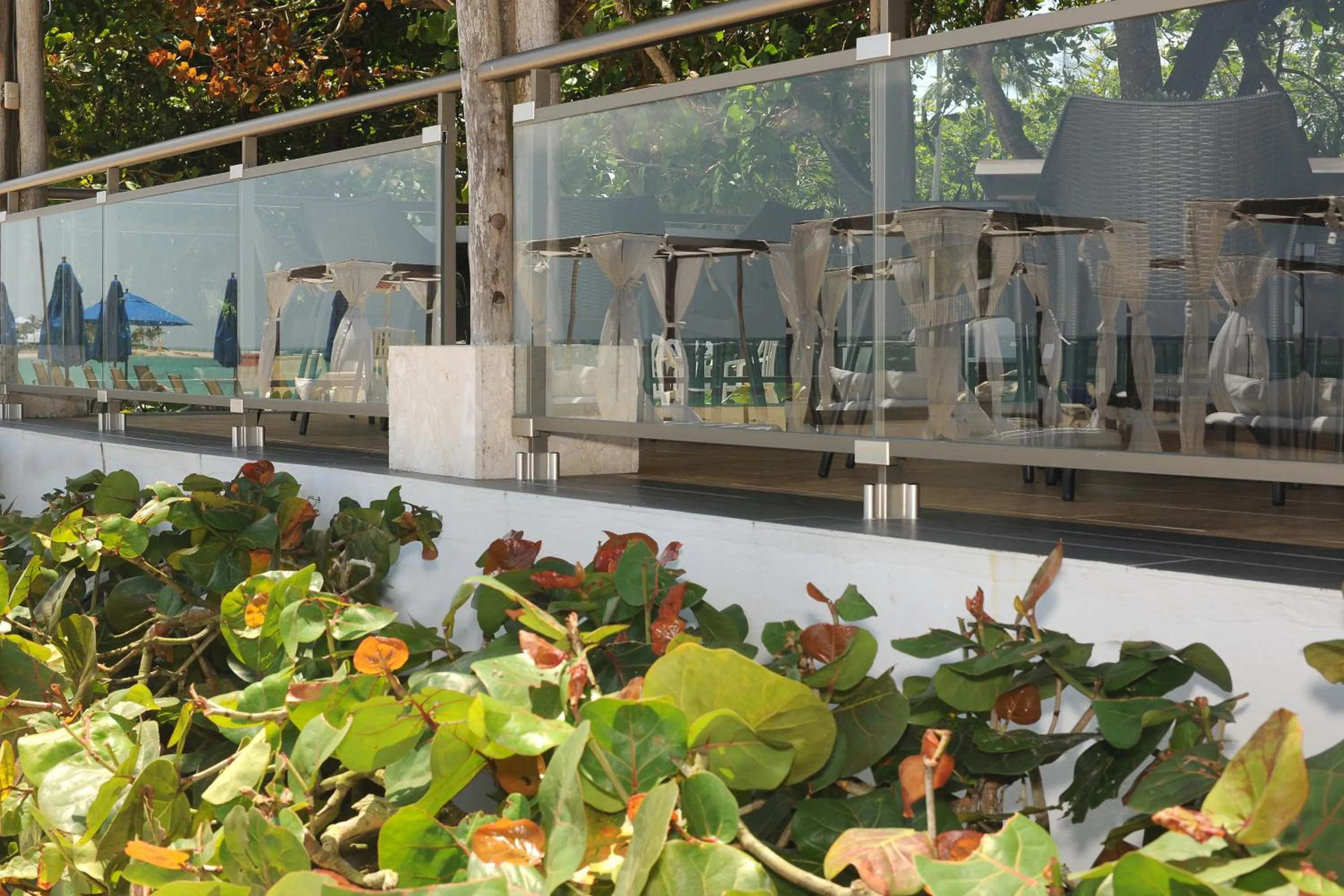 Restaurant/places to eat in Blue JackTar