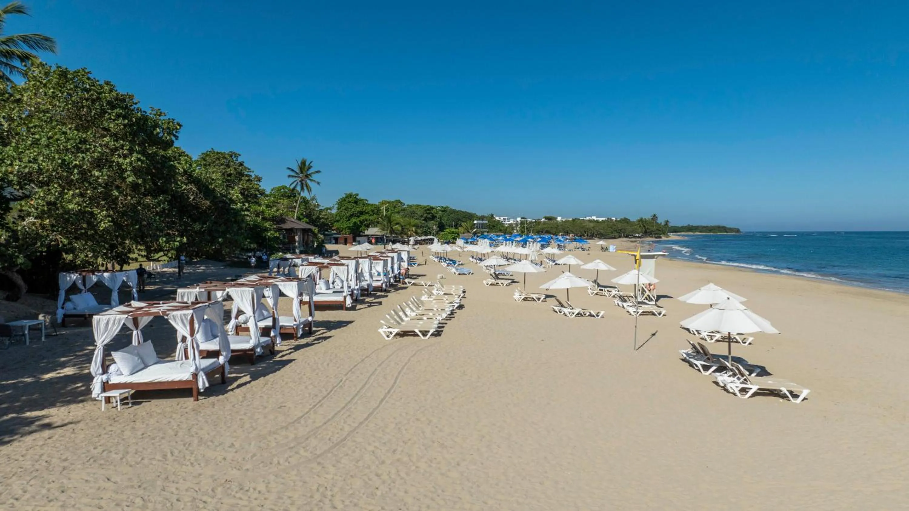 Beach in Blue JackTar