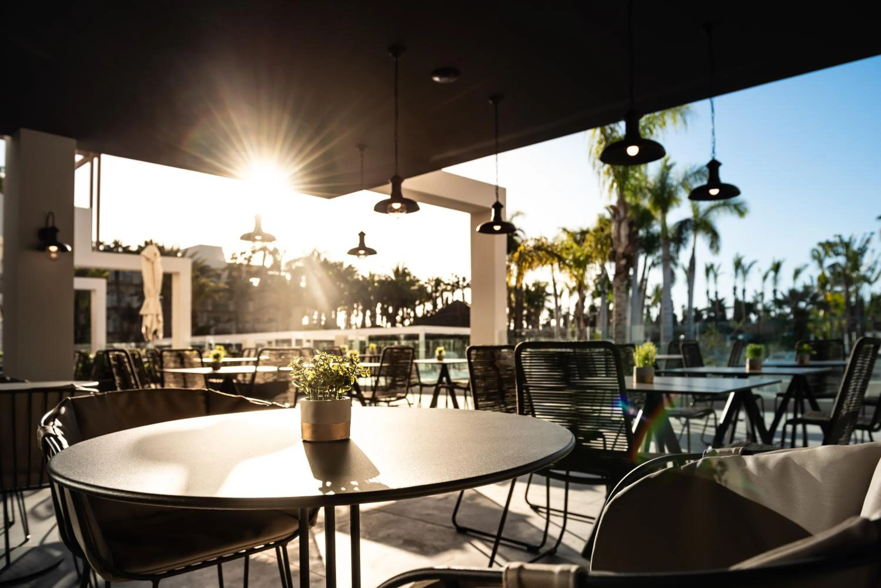 Restaurant/places to eat in Tabaiba Princess