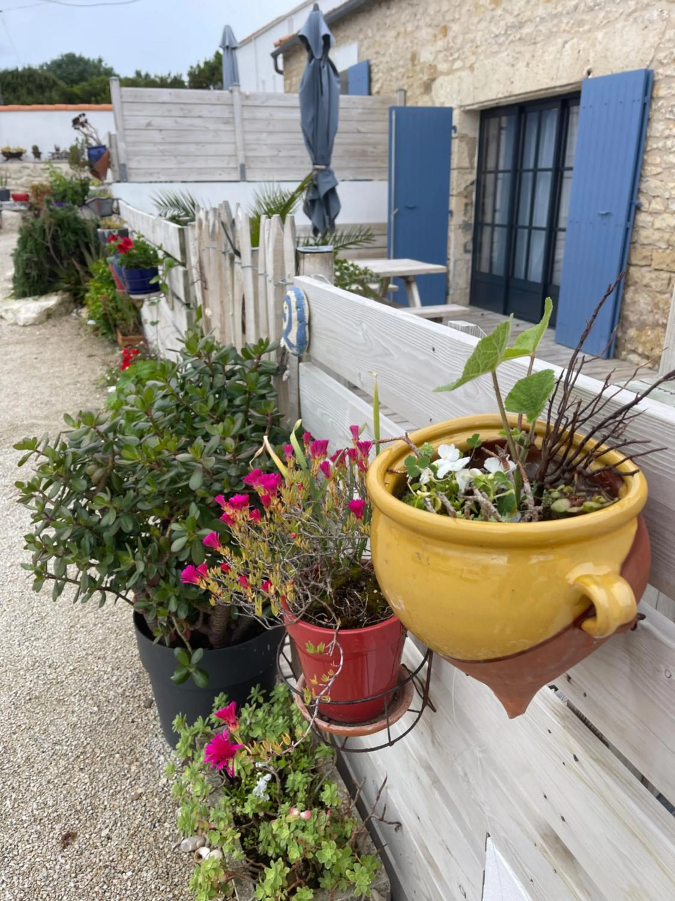 Property building in Clos des Aigrettes -6 Gîtes de charme et confort à 30m du Port de La Cotinière