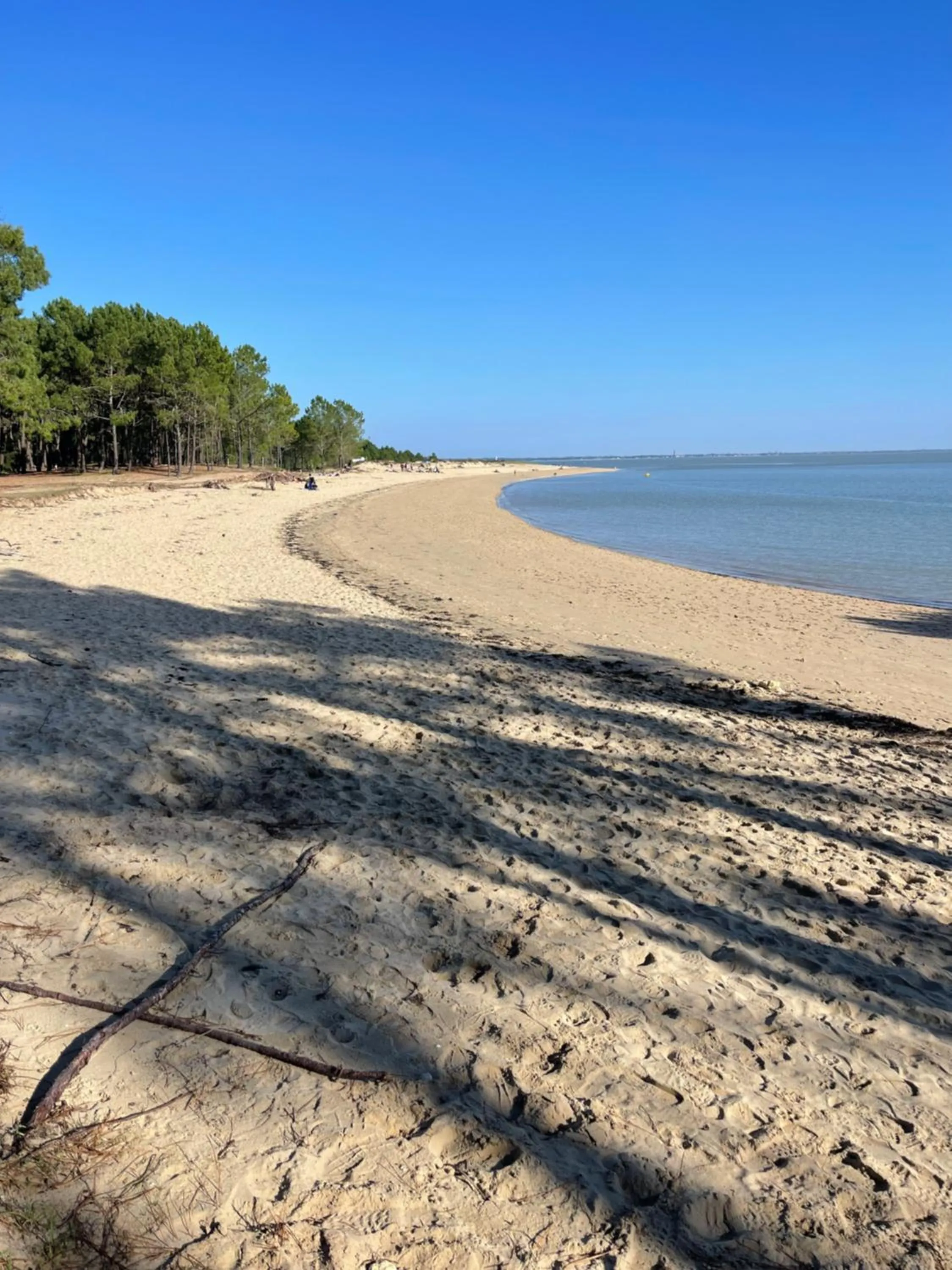 Nearby landmark in Clos des Aigrettes -6 Gîtes de charme et confort à 30m du Port de La Cotinière