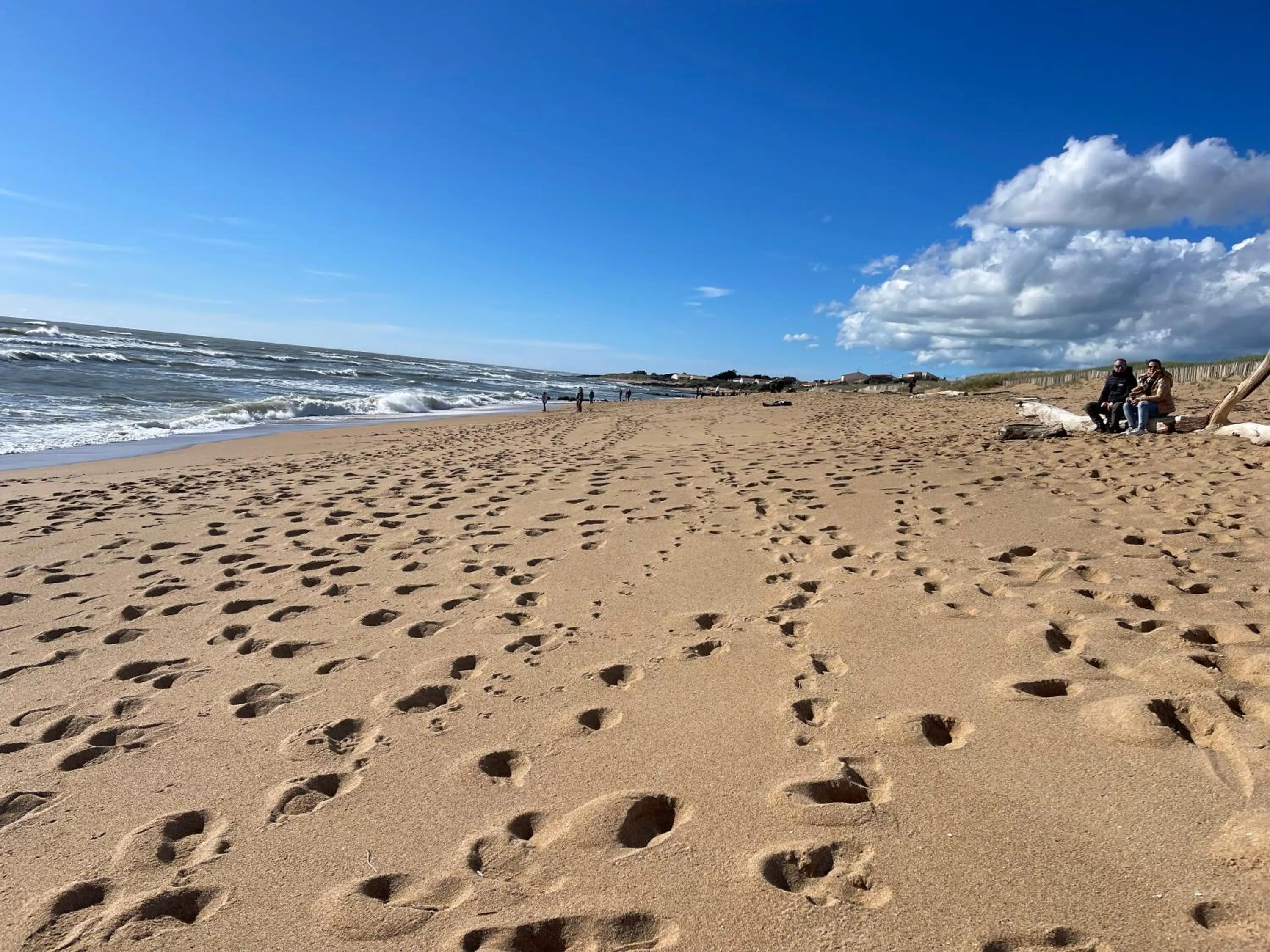 Nearby landmark in Clos des Aigrettes -6 Gîtes de charme et confort à 30m du Port de La Cotinière