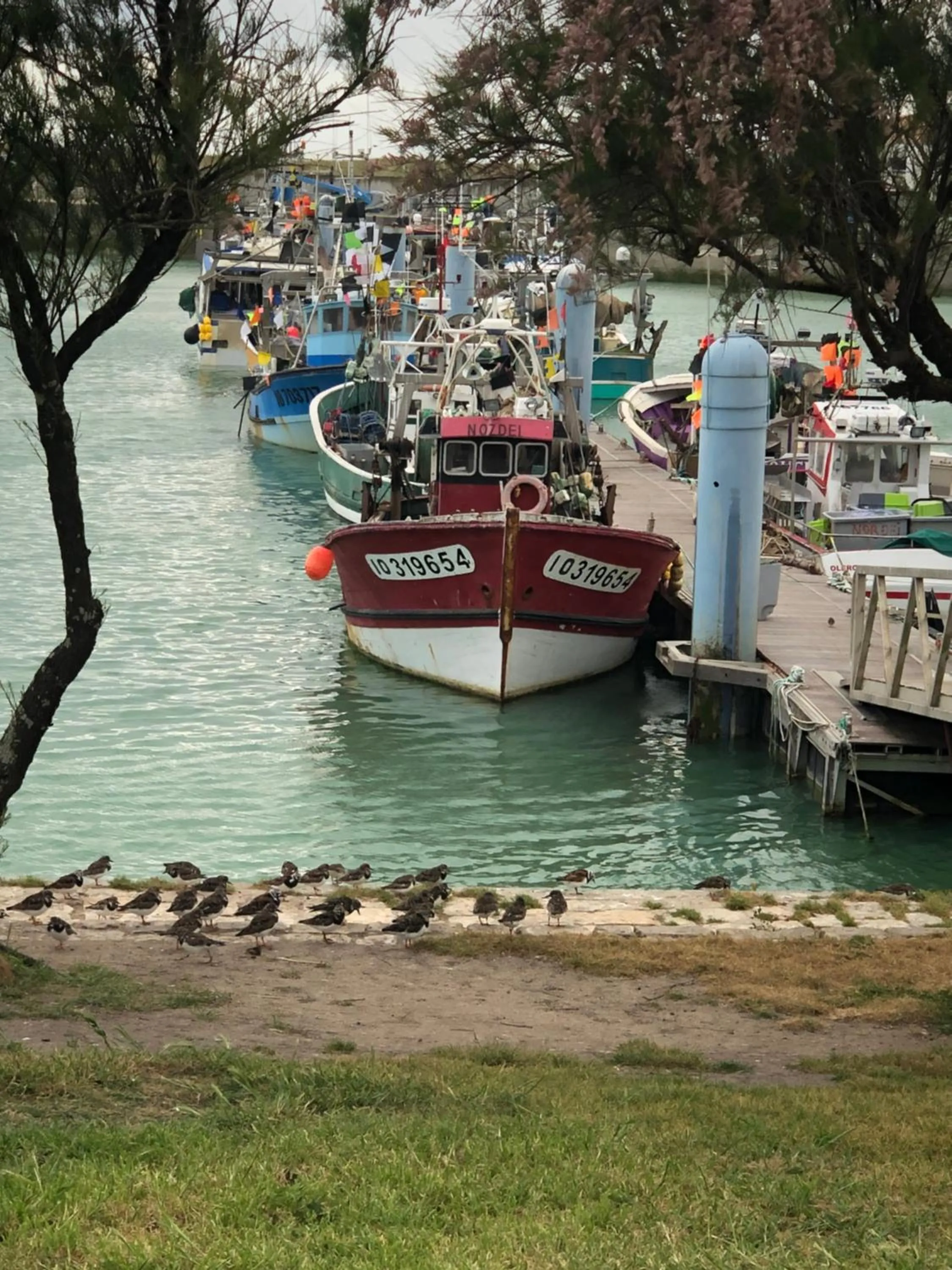 Natural landscape in Clos des Aigrettes -6 Gîtes de charme et confort à 30m du Port de La Cotinière