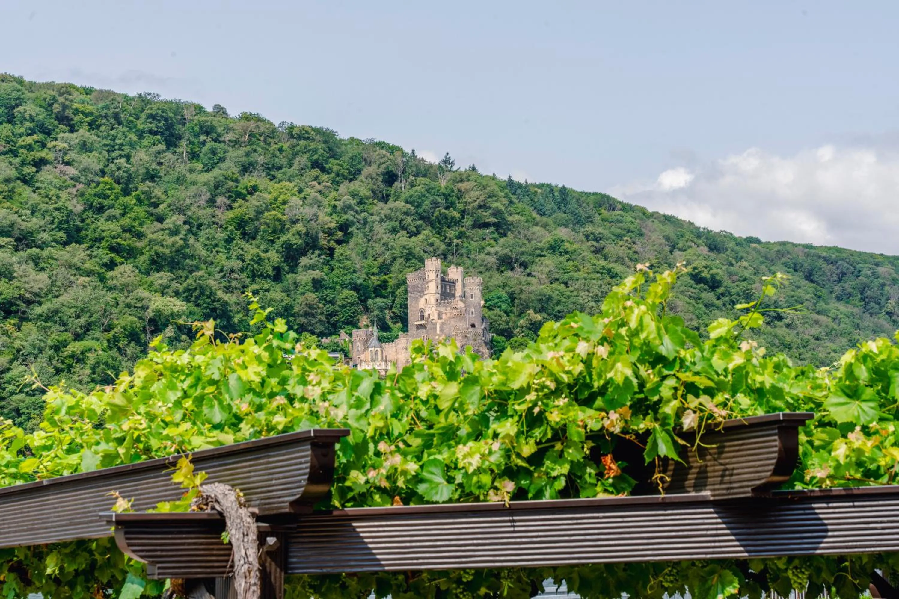 View (from property/room) in Hotel Unter den Linden