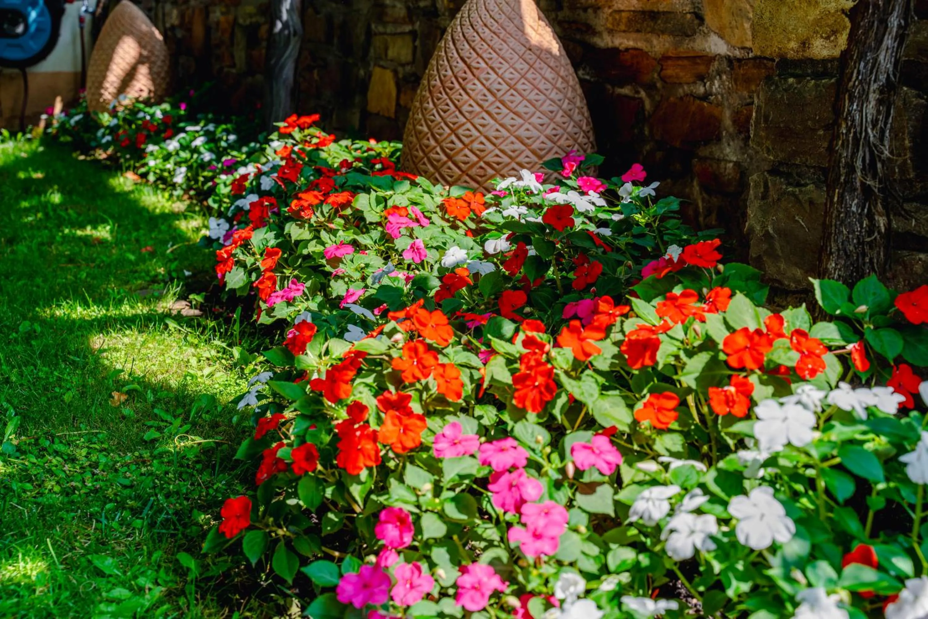 Garden in Hotel Unter den Linden
