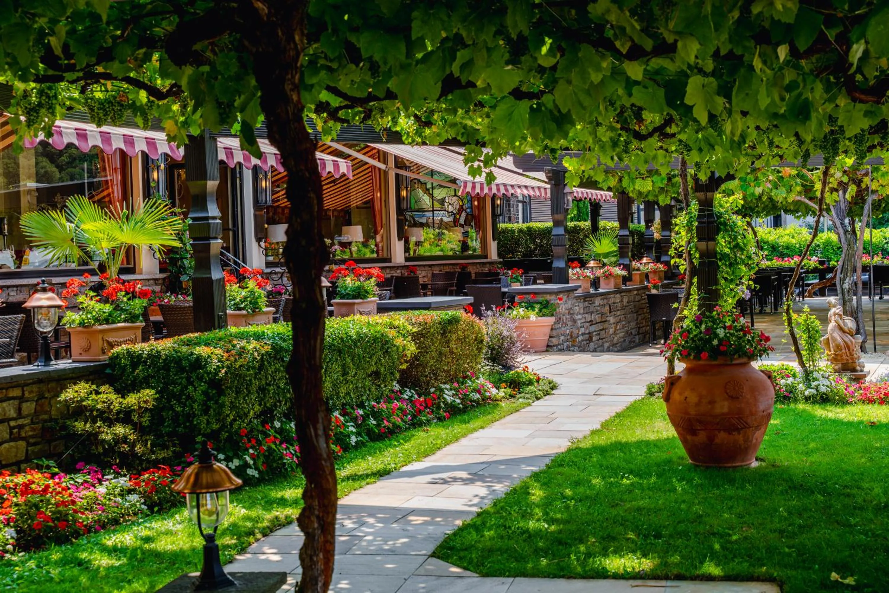 Garden in Hotel Unter den Linden