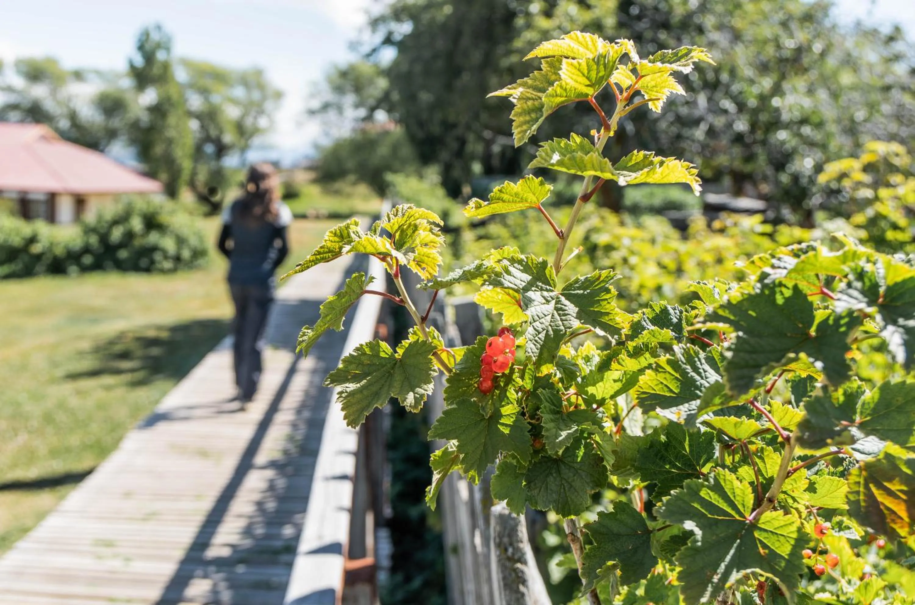 Spring in Estancia Cerro Guido