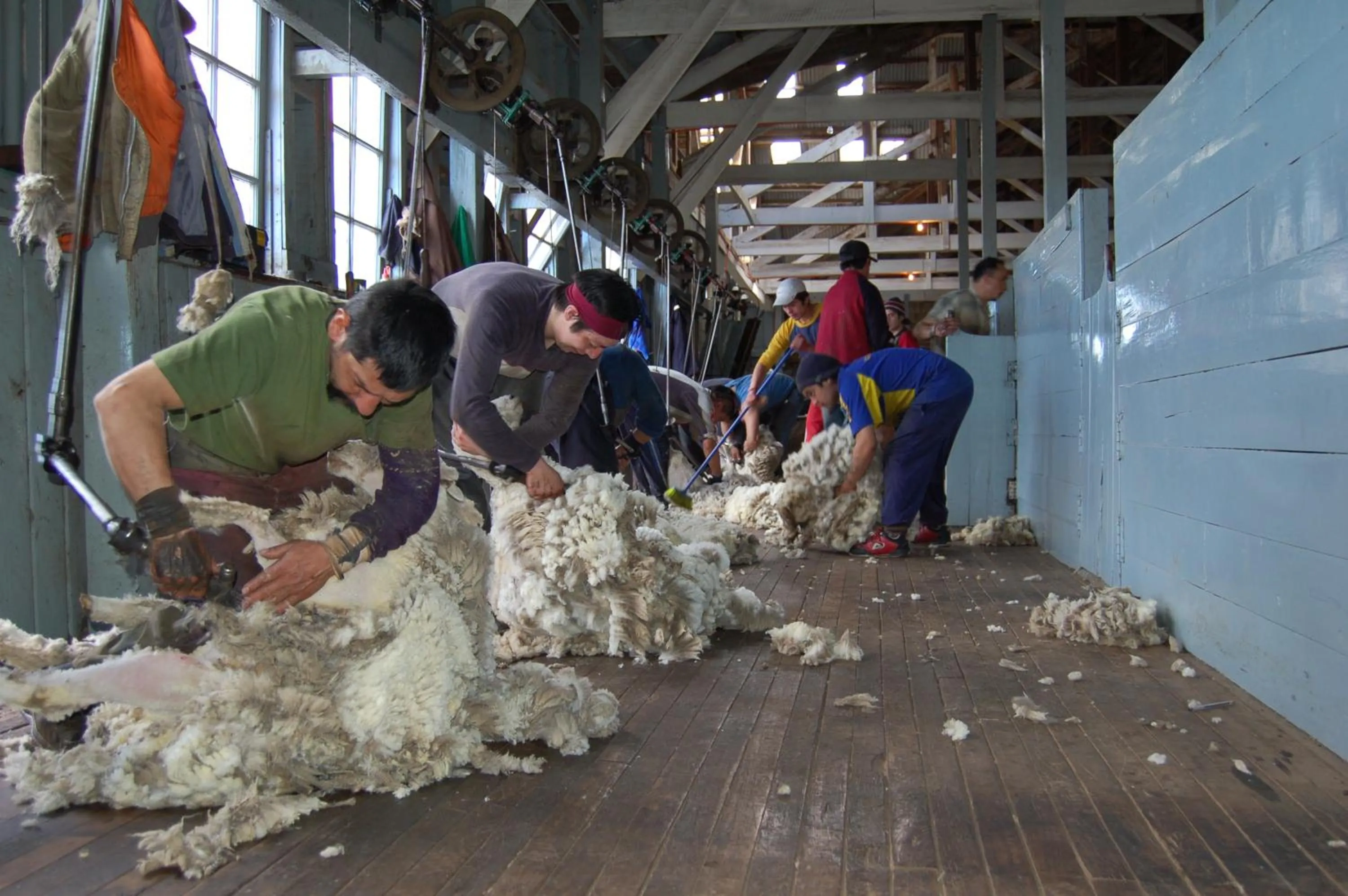 Summer in Estancia Cerro Guido