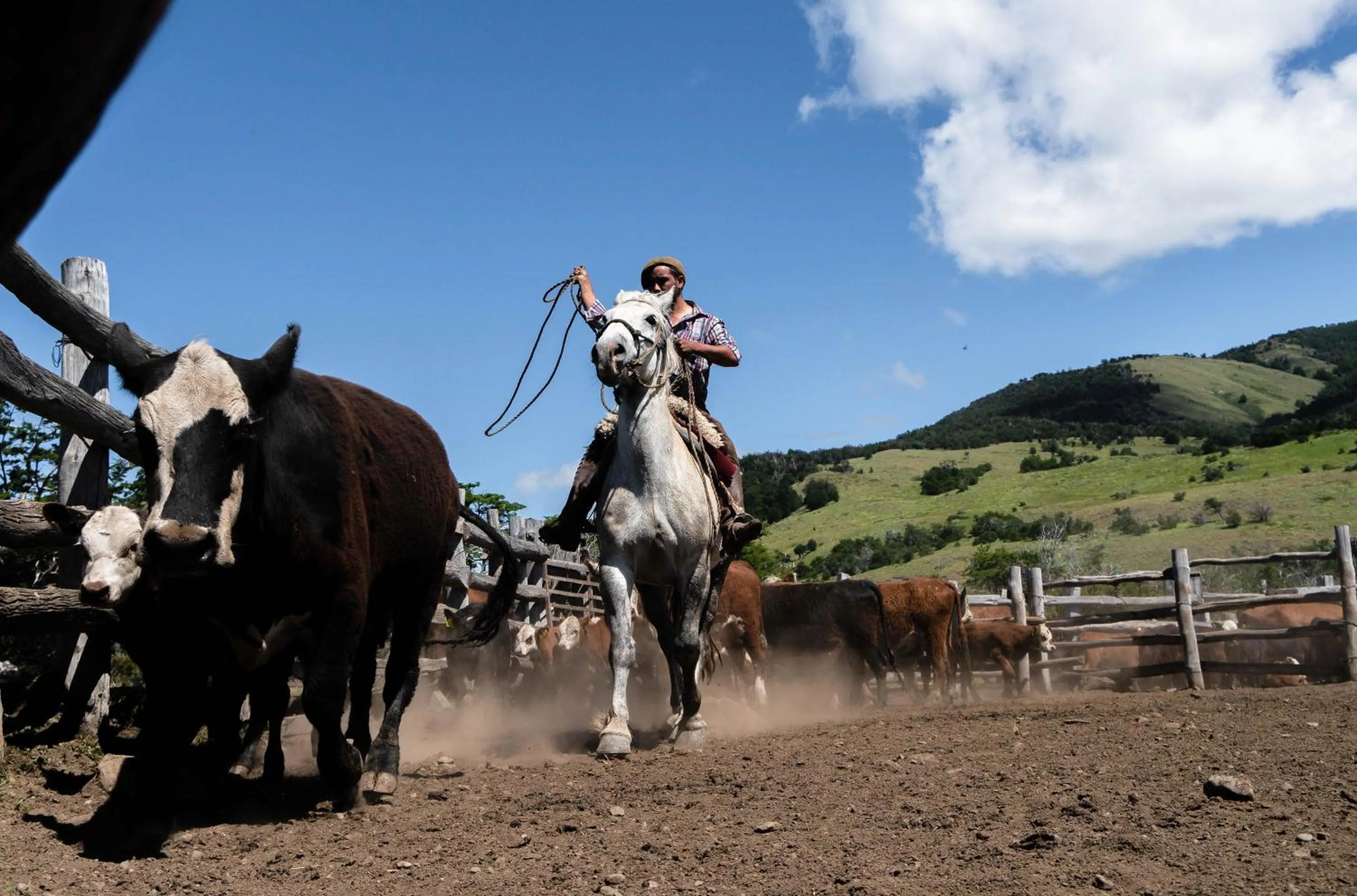 Nearby landmark in Estancia Cerro Guido