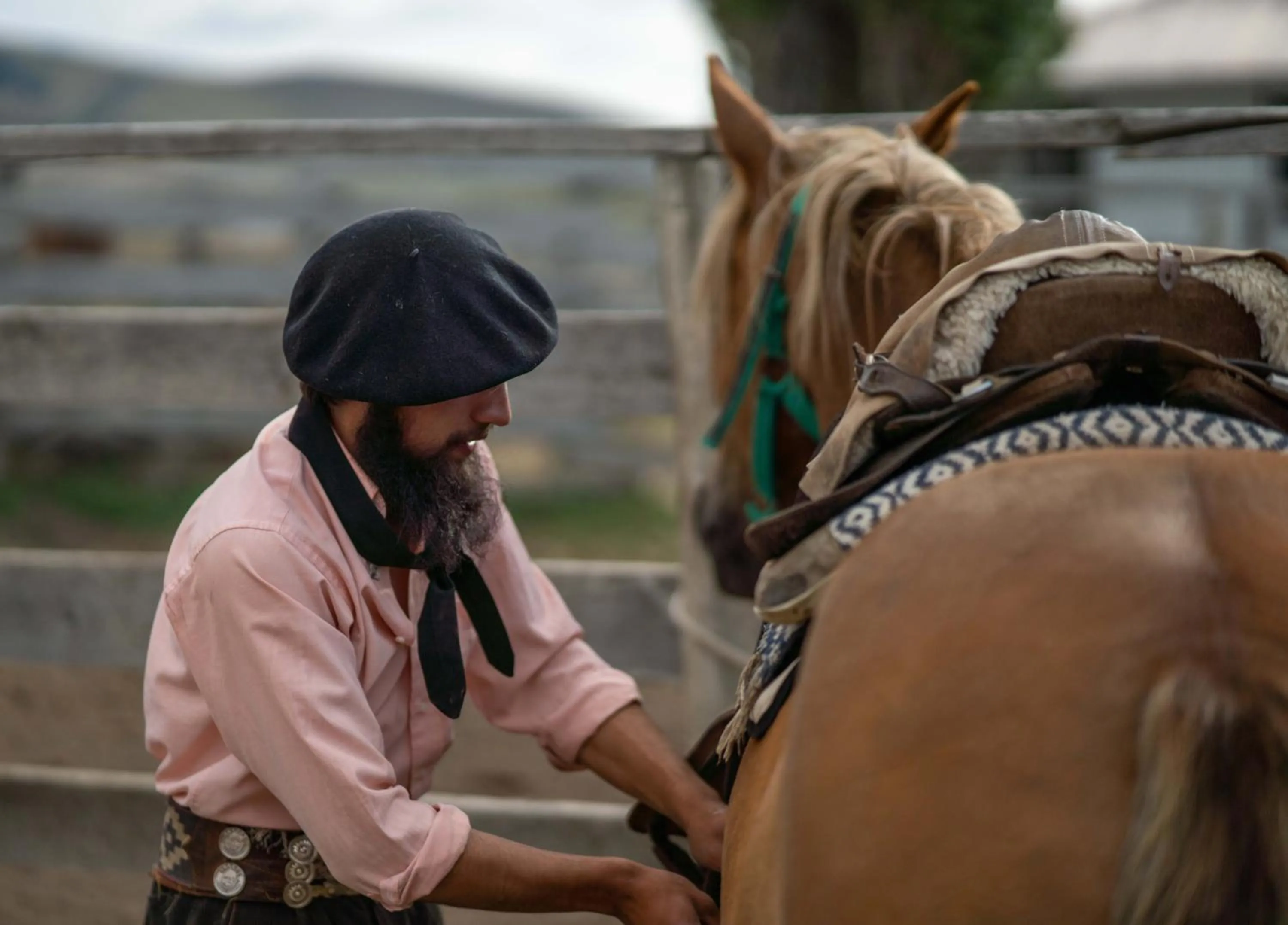 Activities in Estancia Cerro Guido