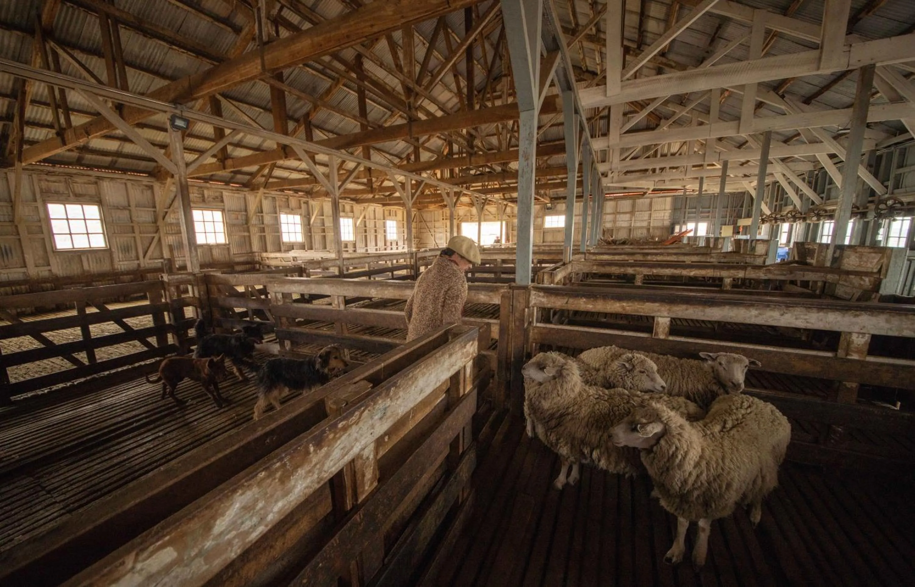 Activities in Estancia Cerro Guido