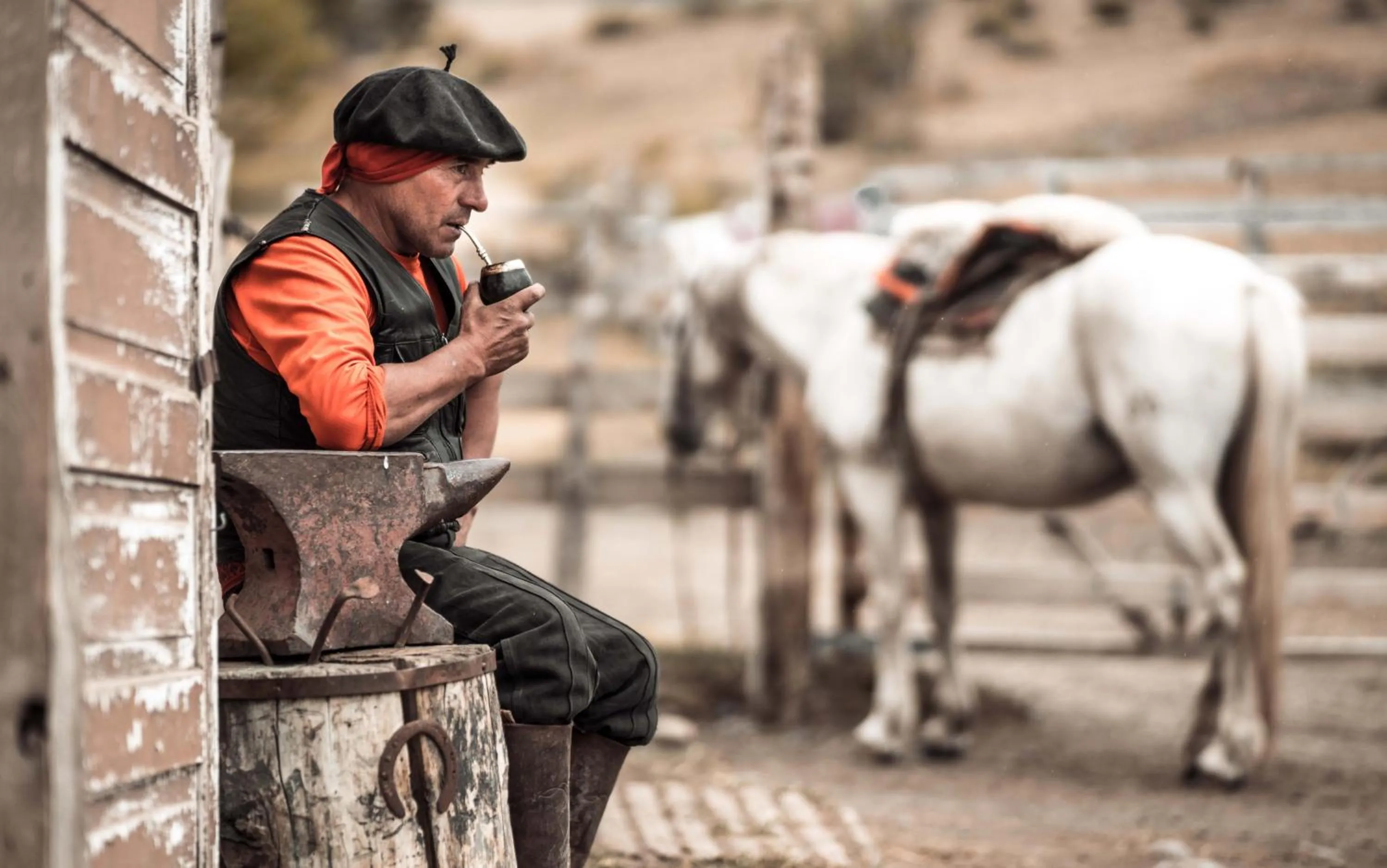 Activities in Estancia Cerro Guido
