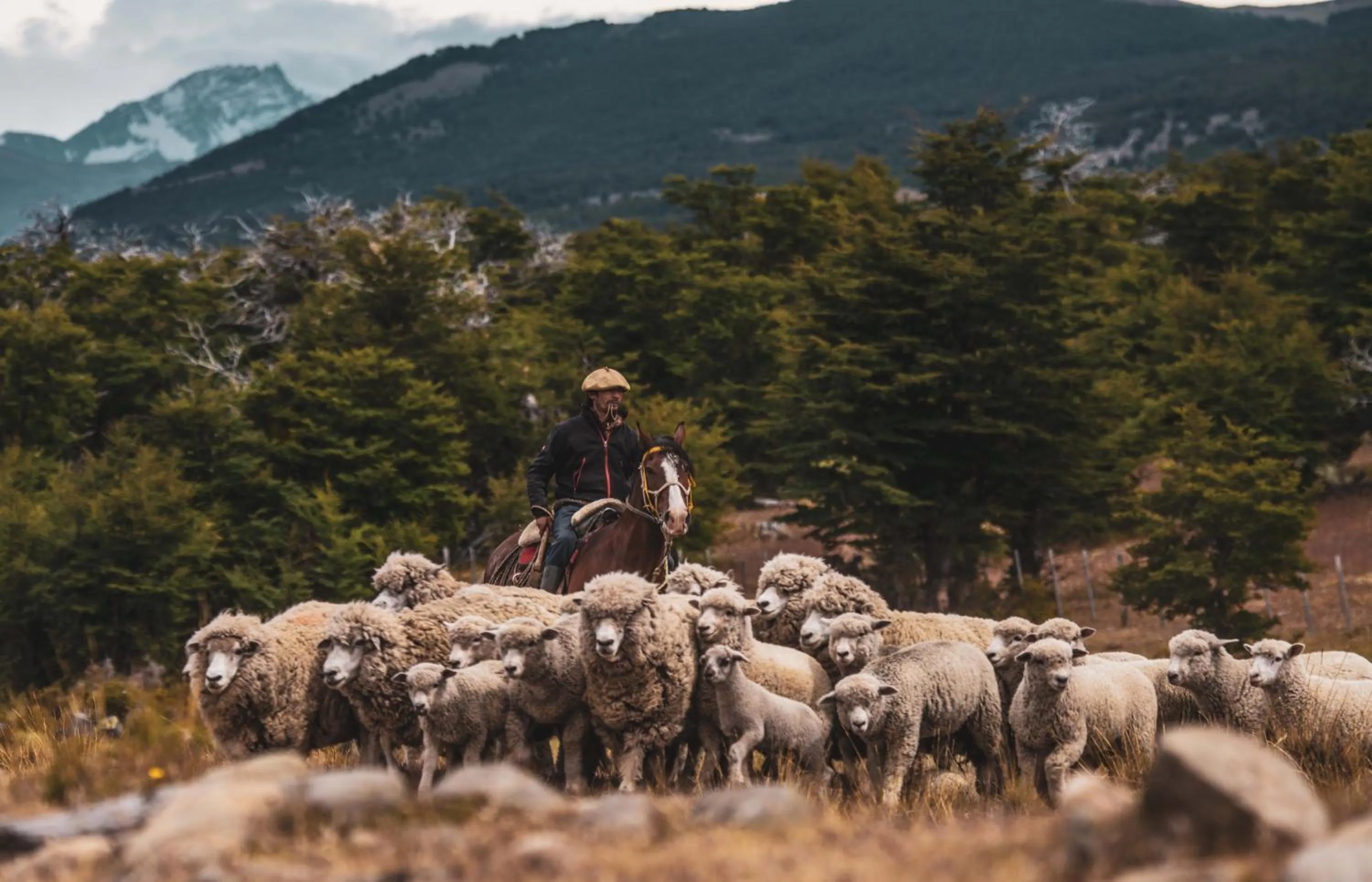 Activities in Estancia Cerro Guido