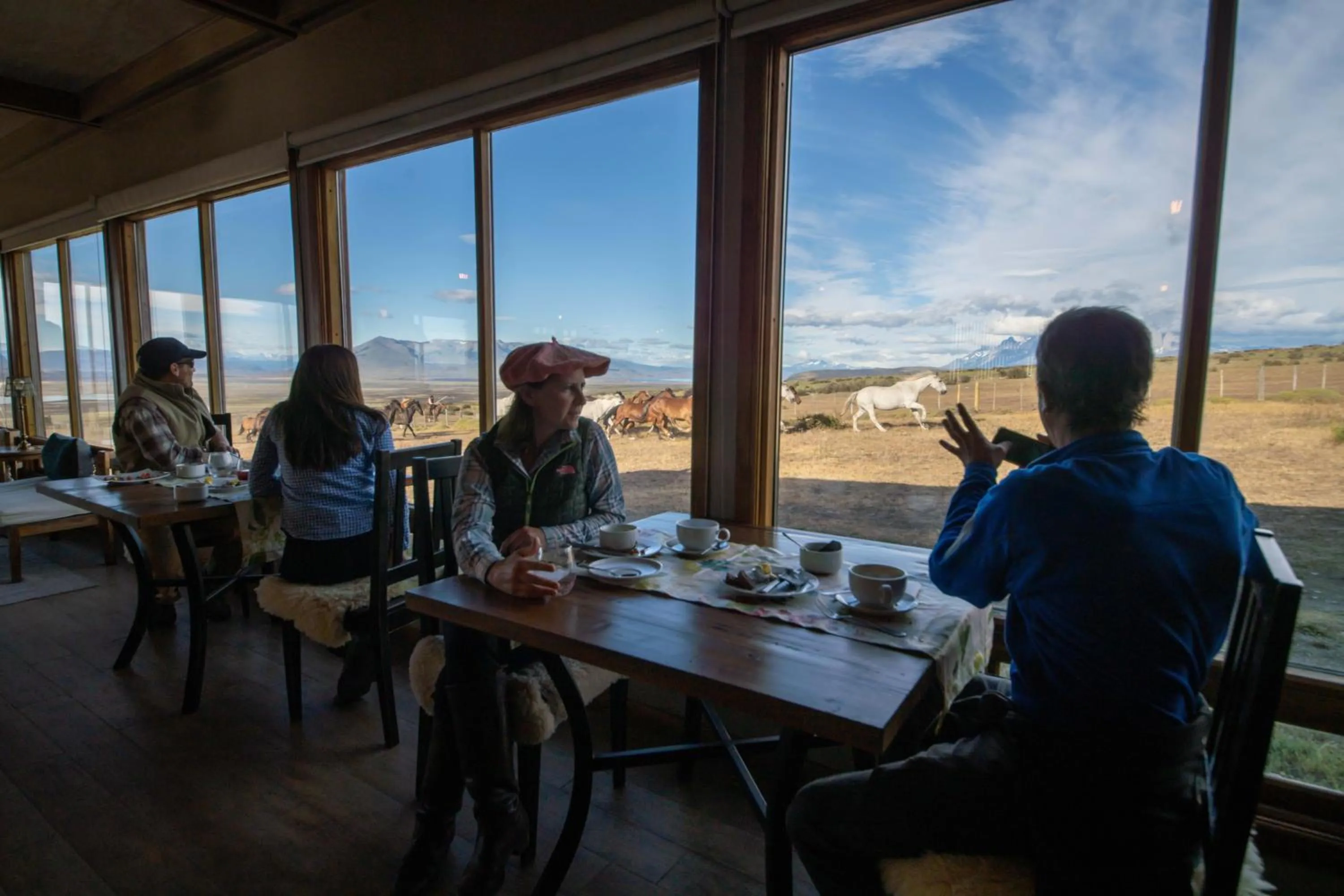 Lounge or bar in Estancia Cerro Guido