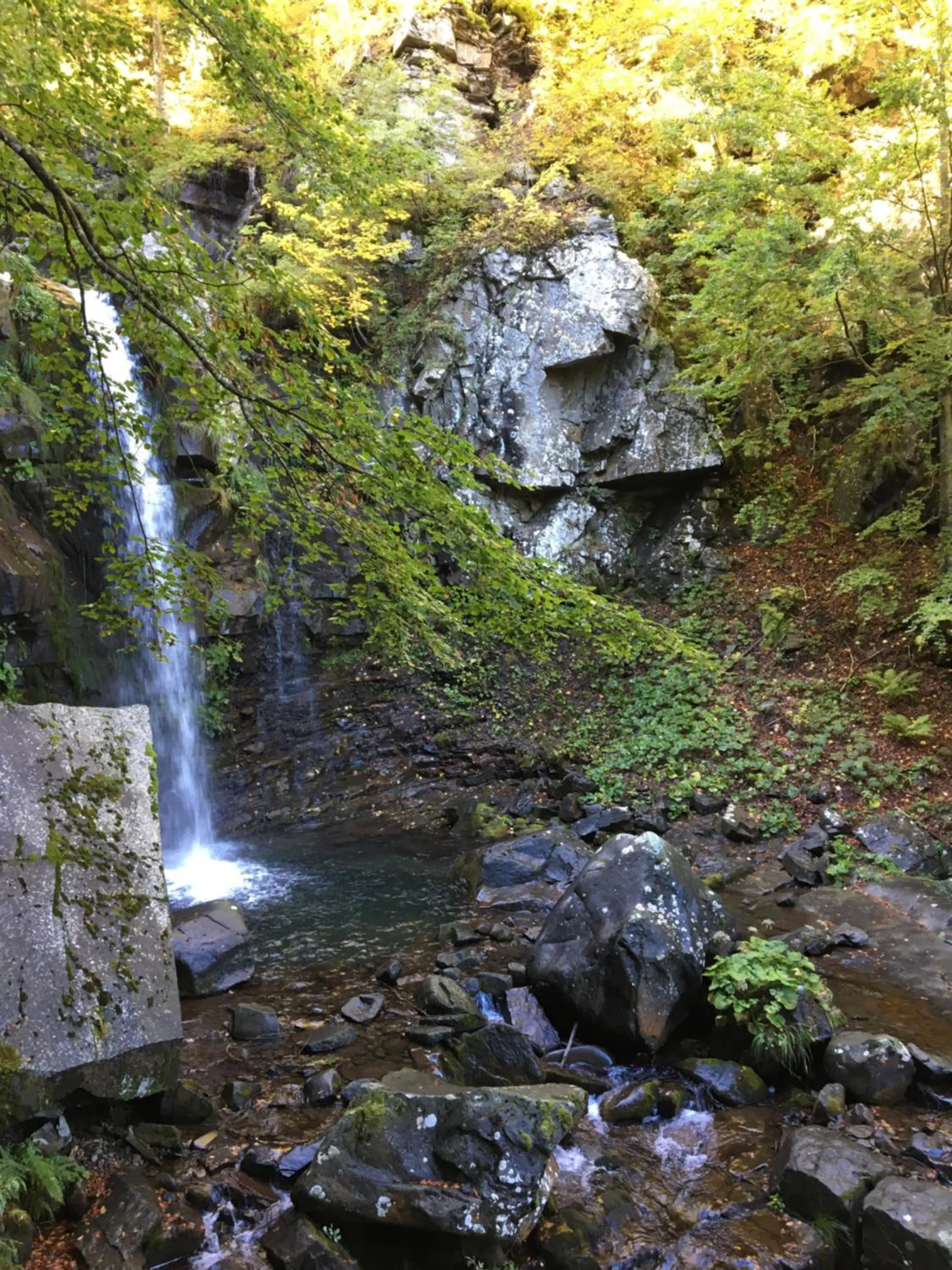 Nearby landmark in A 5 min dalla Rocchetta Mattei - B&B Antico Mulino
