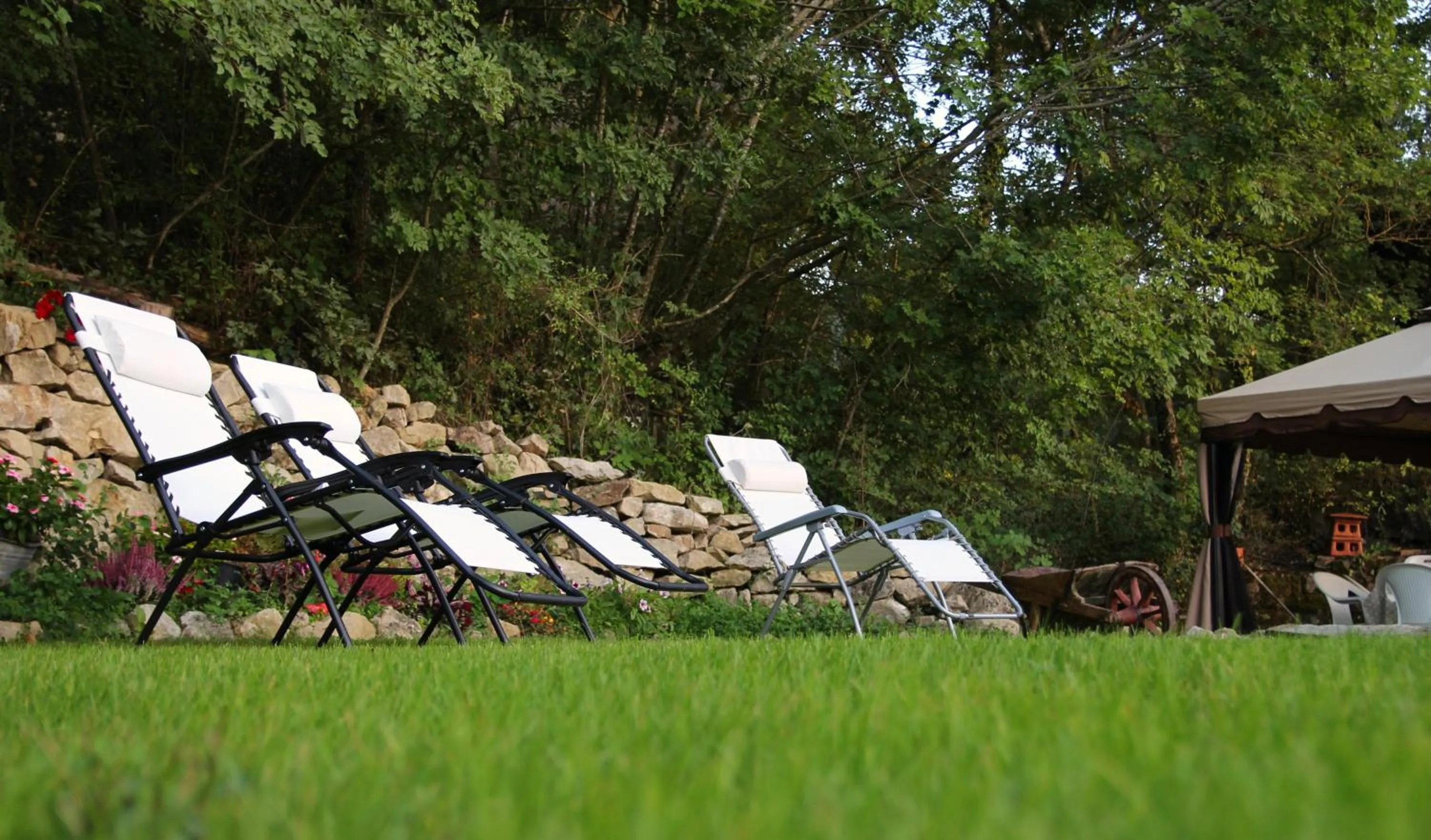 Garden in A 5 min dalla Rocchetta Mattei - B&B Antico Mulino