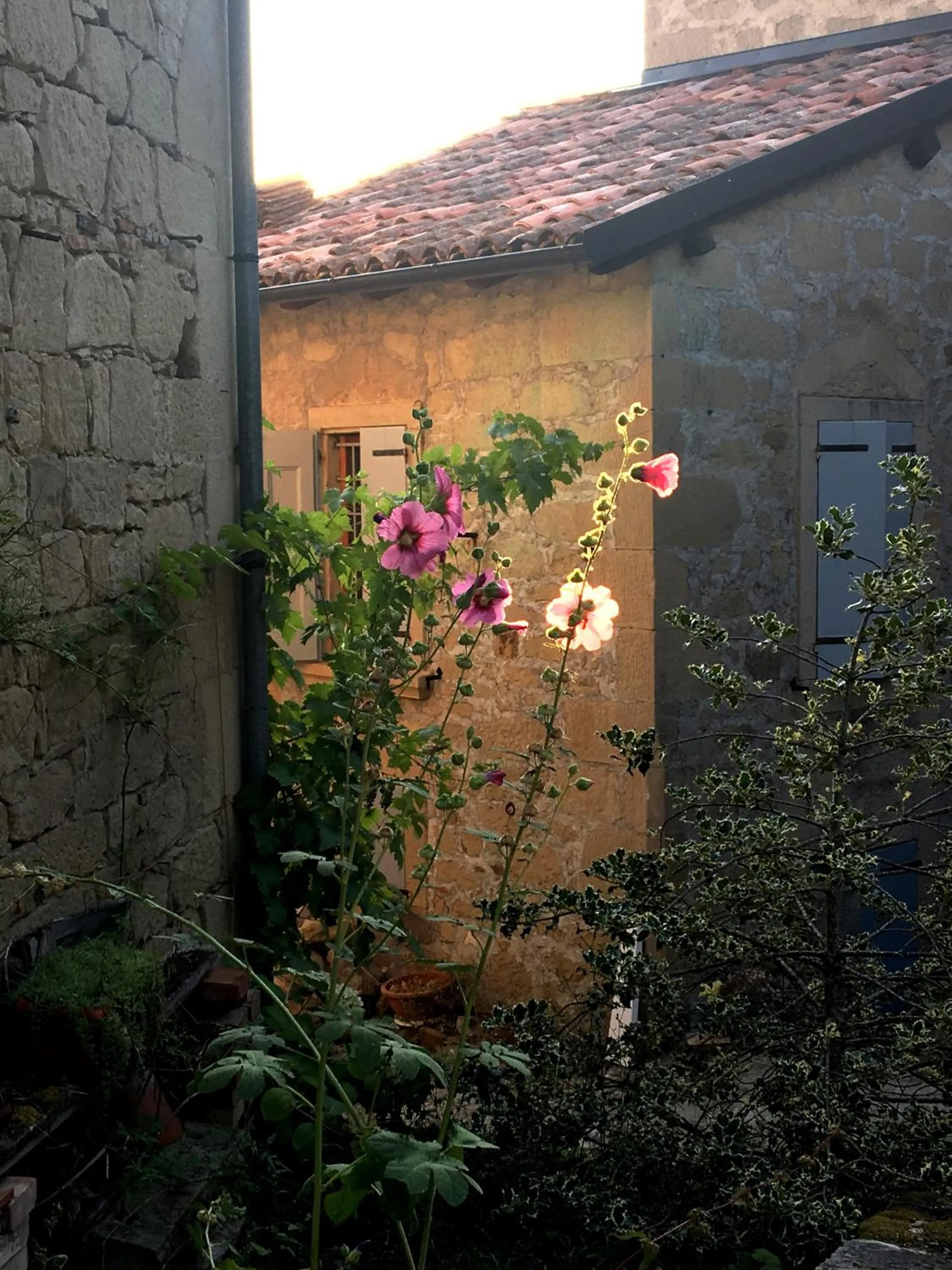 Patio in A 5 min dalla Rocchetta Mattei - B&B Antico Mulino