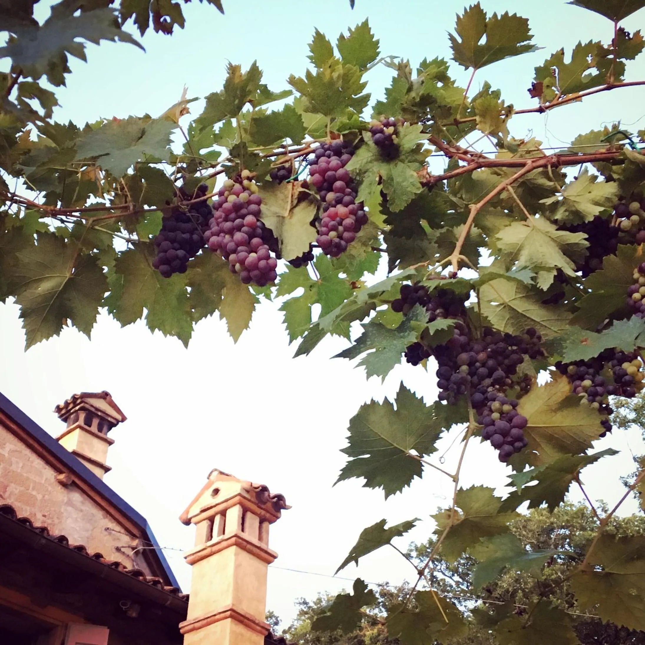 Patio in A 5 min dalla Rocchetta Mattei - B&B Antico Mulino
