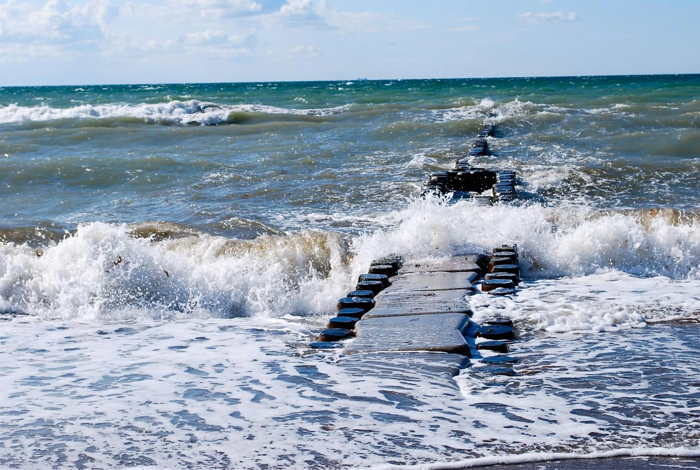 Natural landscape in Der Fischländer Garni
