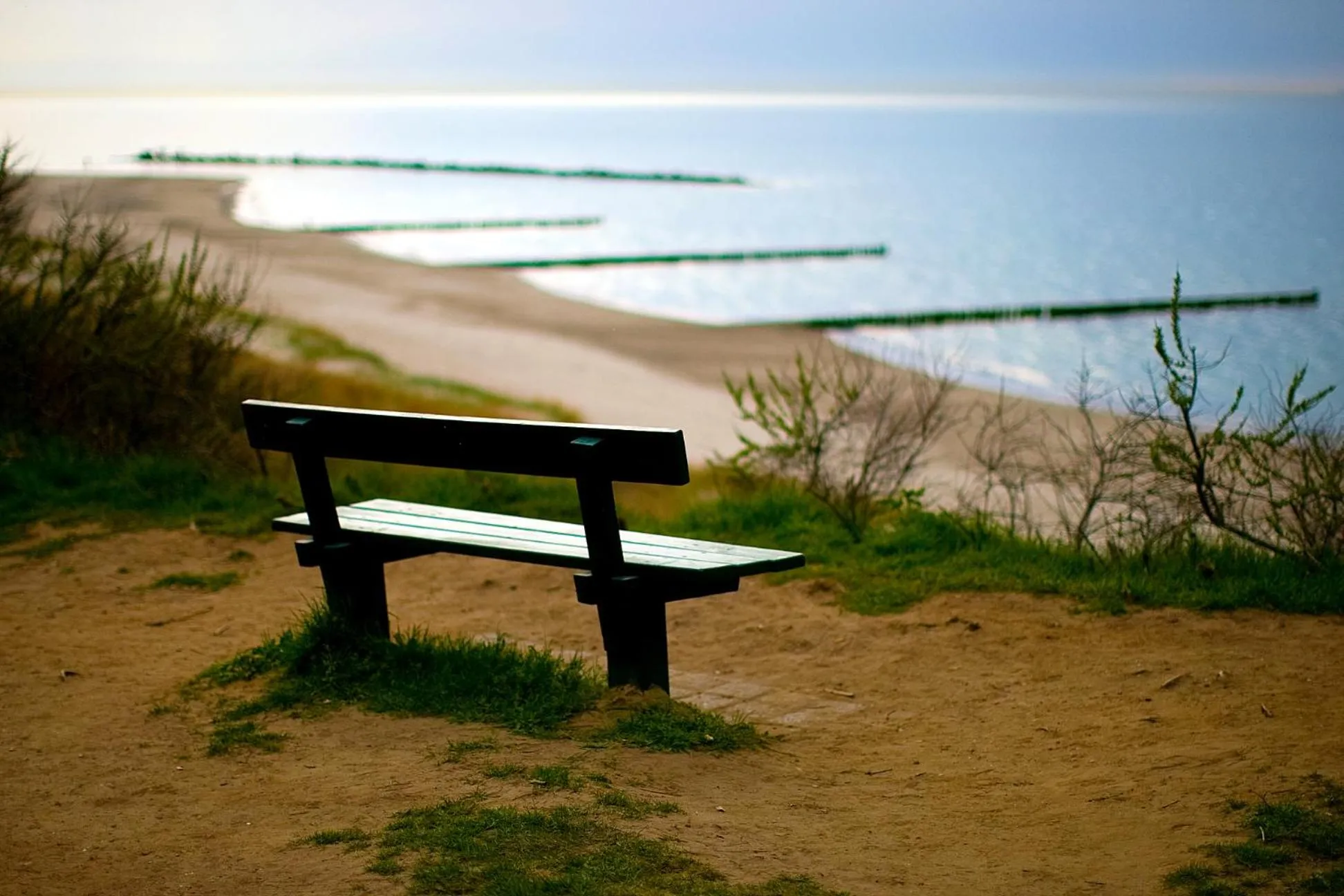Natural landscape in Der Fischländer Garni