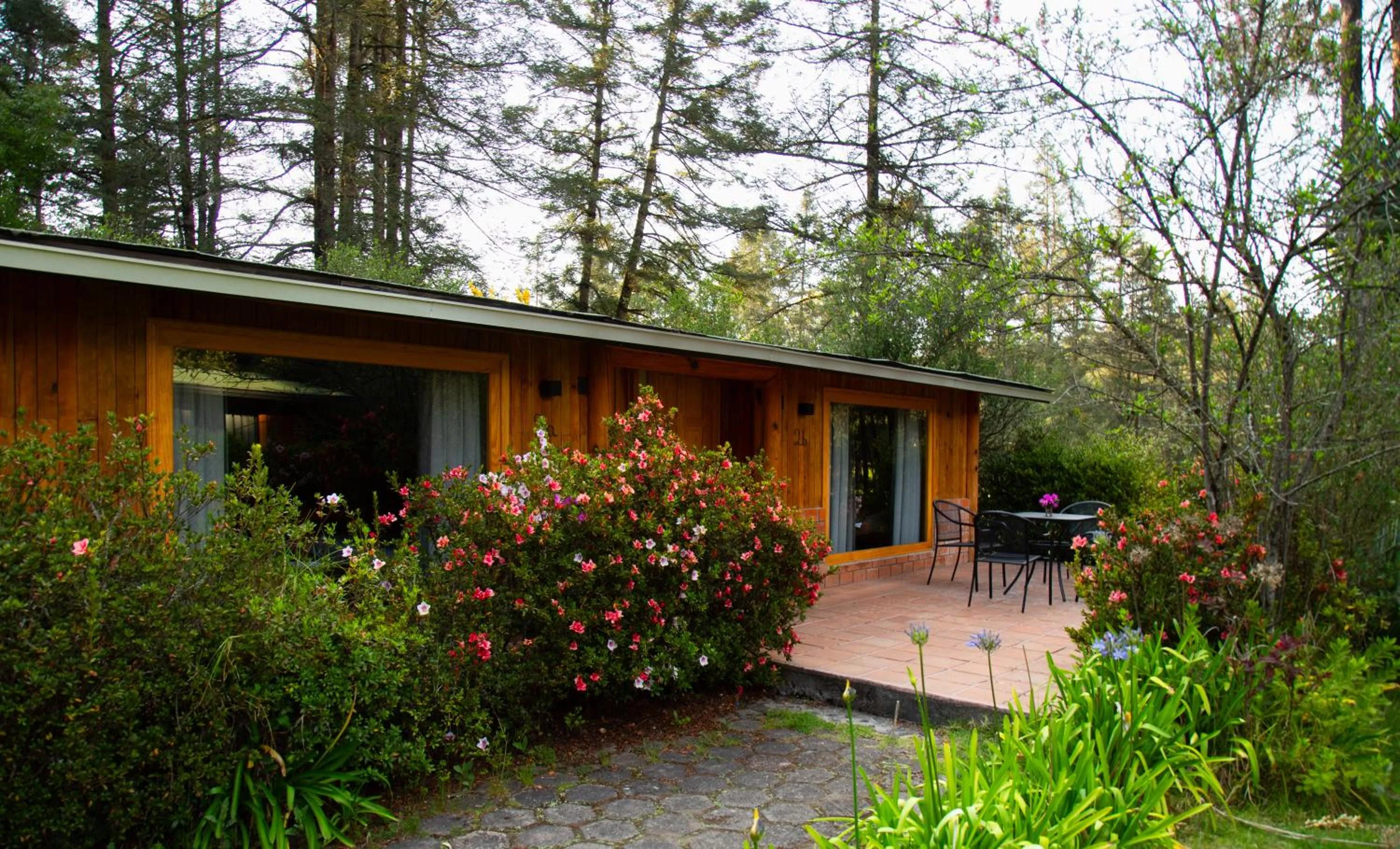 Balcony/Terrace in Hotel Rancho Viejo