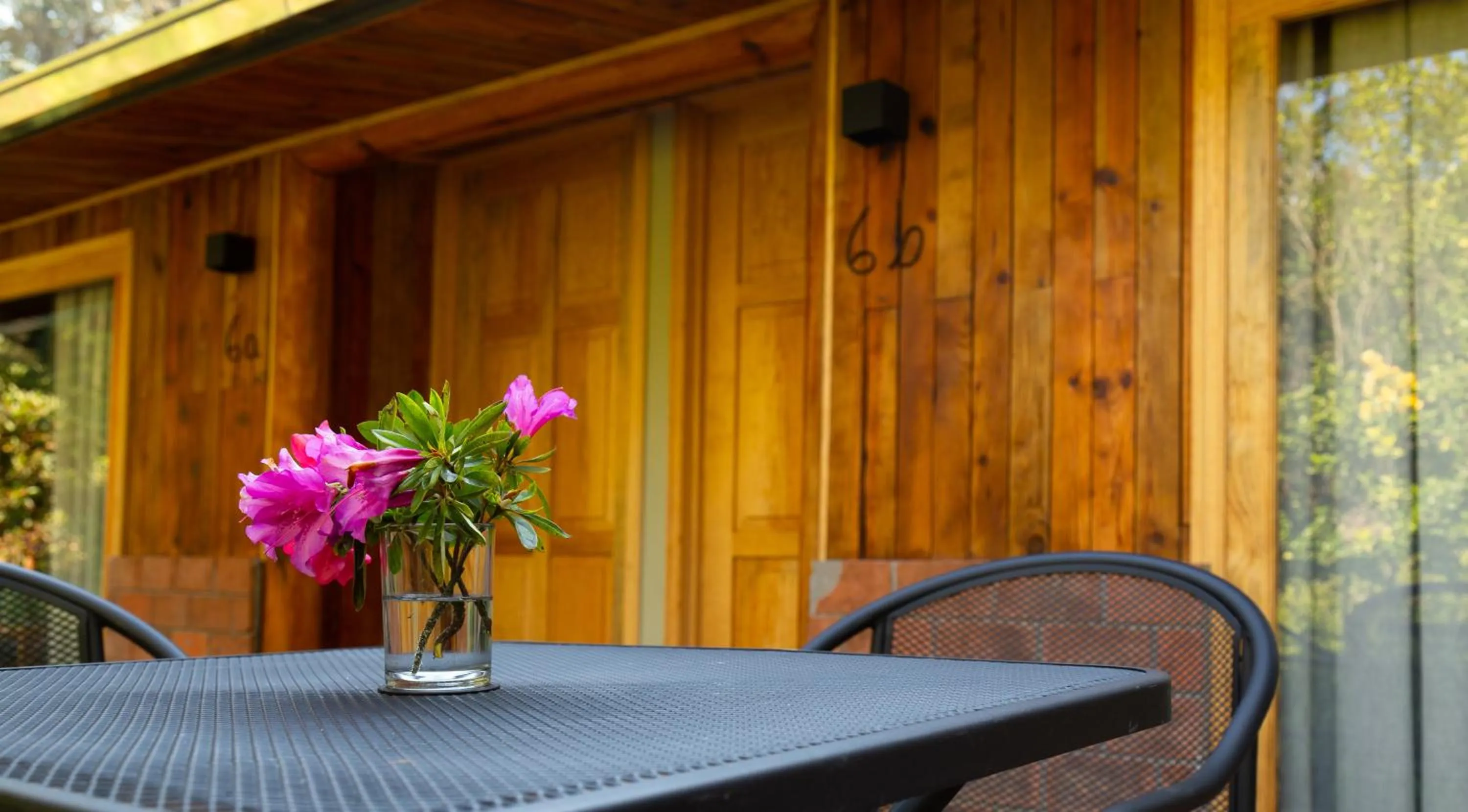 Balcony/Terrace in Hotel Rancho Viejo