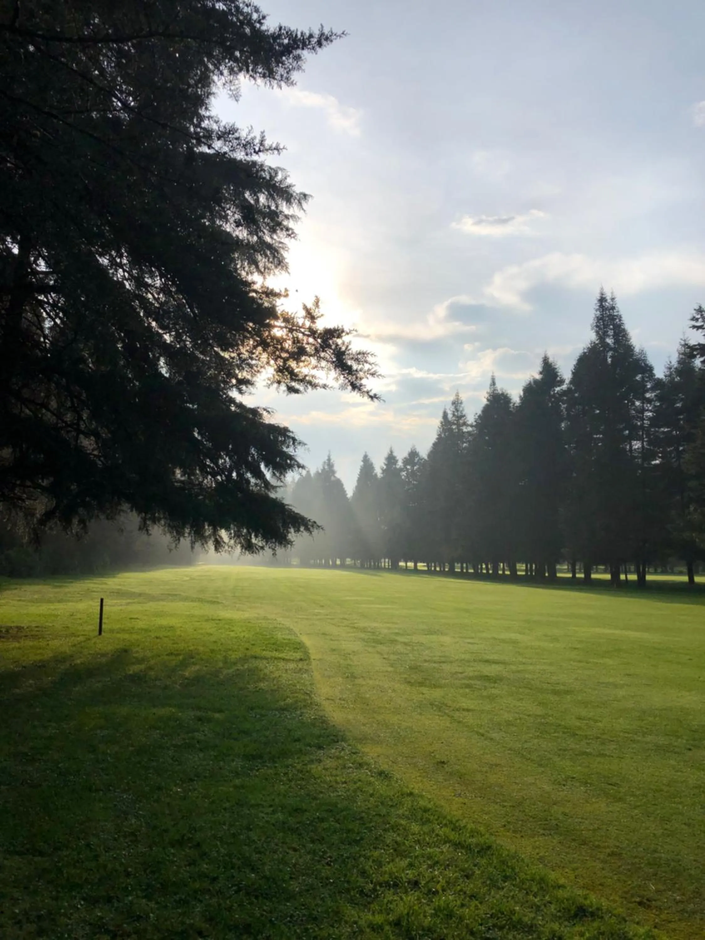 Golfcourse in Hotel Rancho Viejo